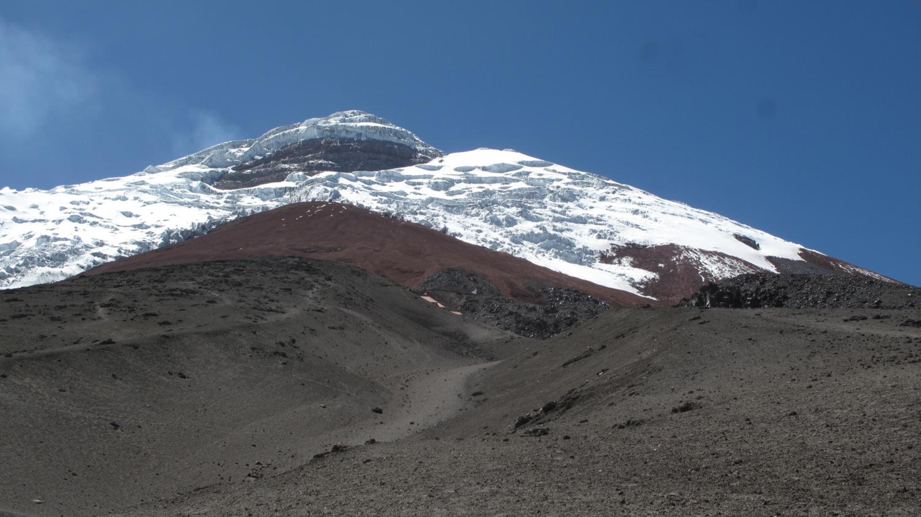 Cotopaxi Gardens