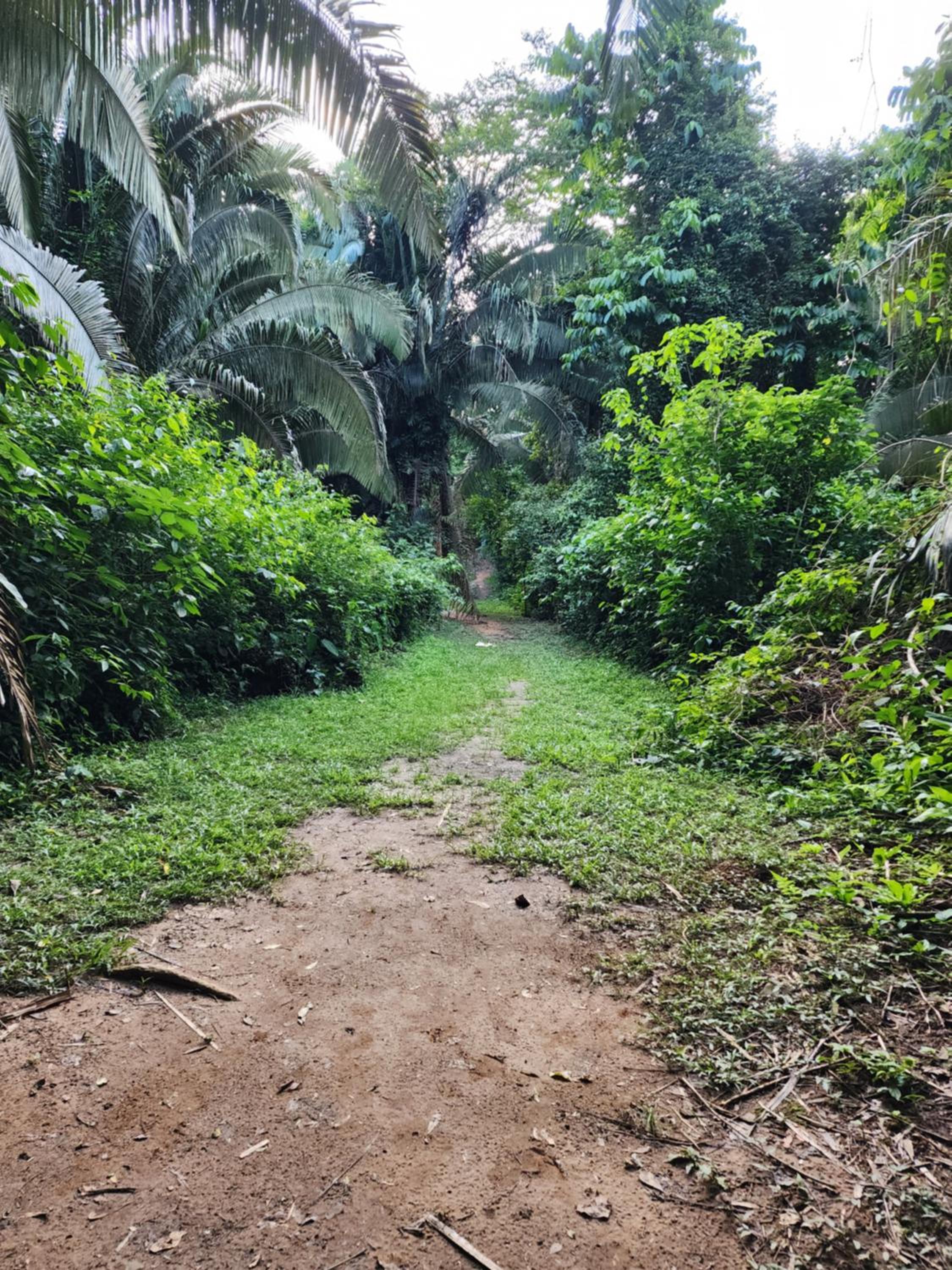 Caribbean Shores Belize