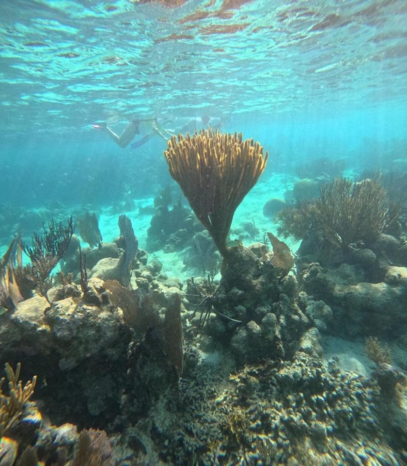 Caribbean Shores Belize