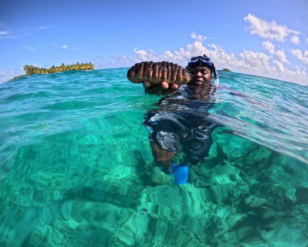 Caribbean Shores Belize