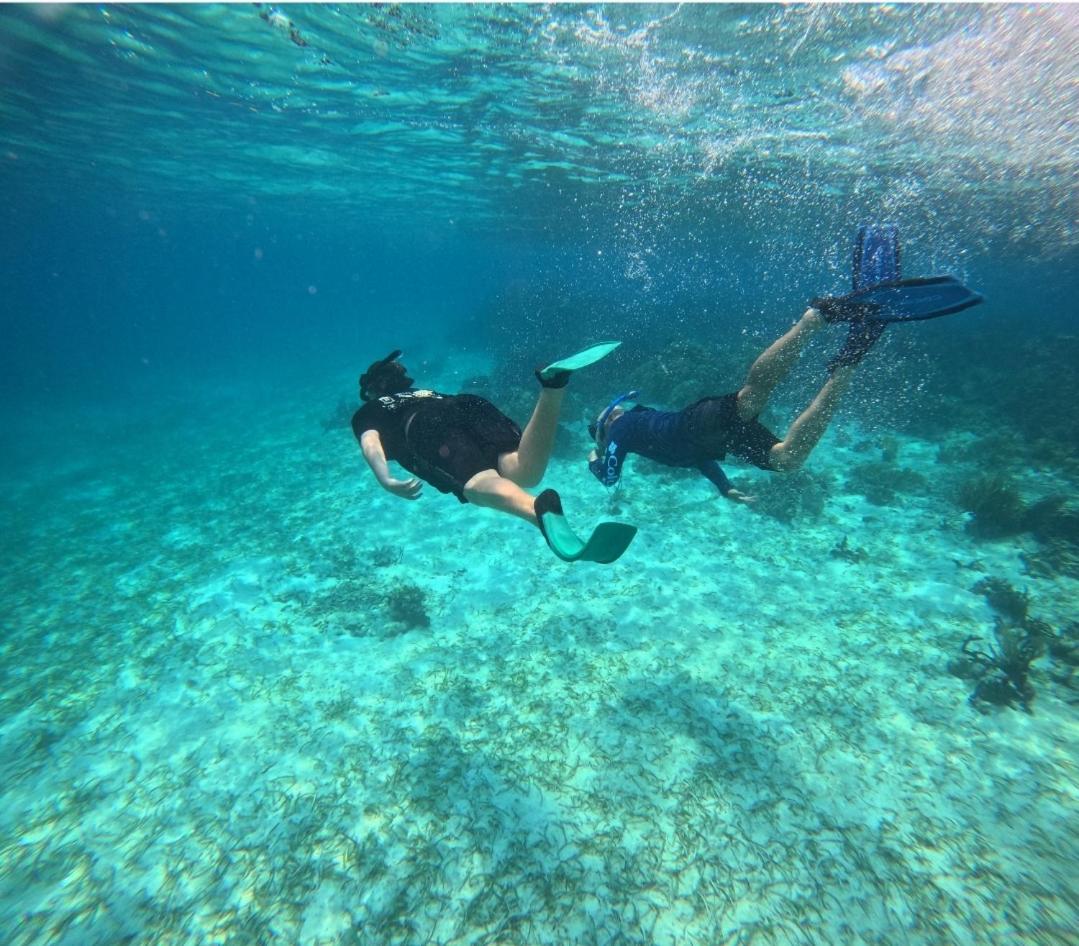 Caribbean Shores Belize