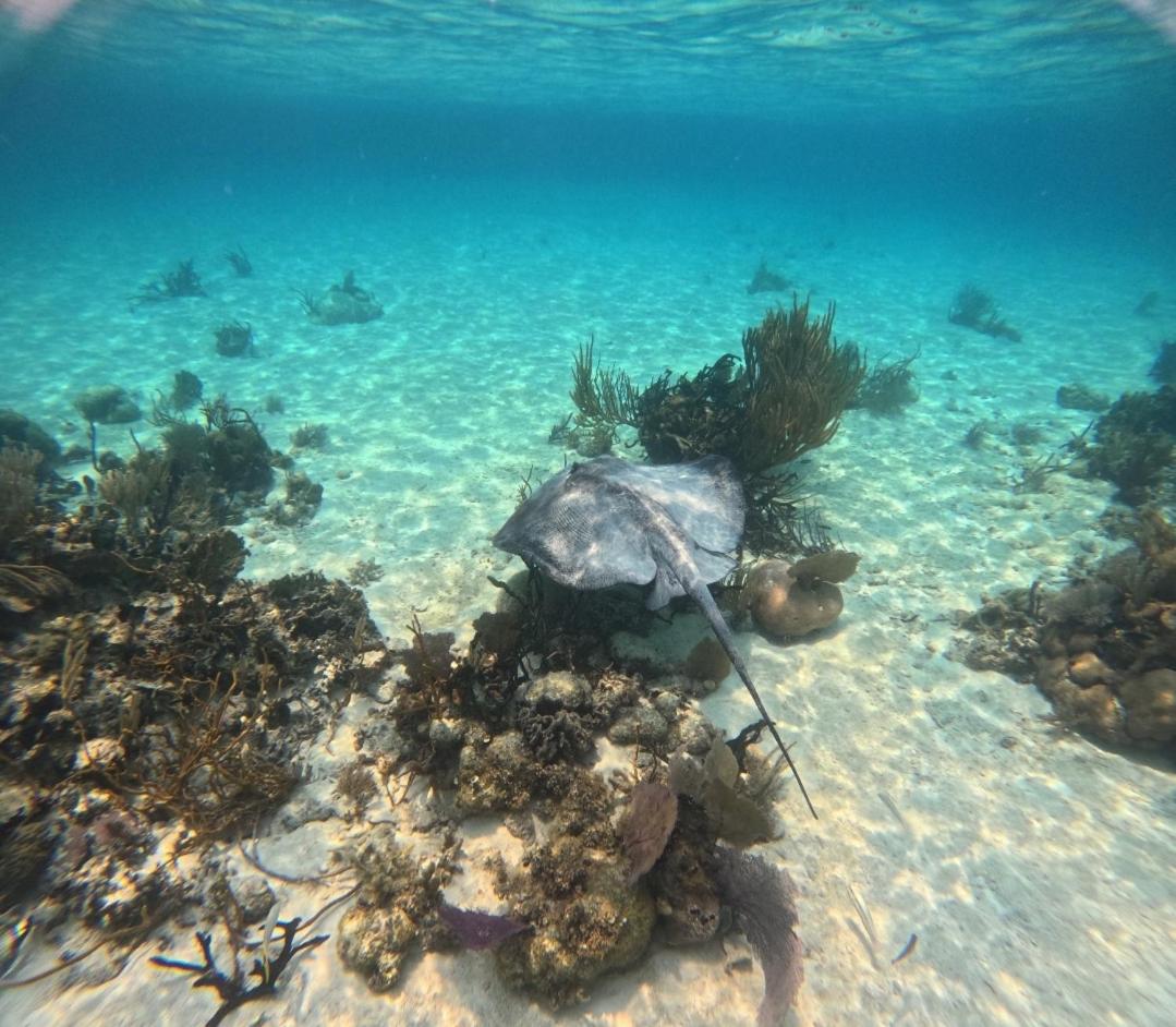 Caribbean Shores Belize