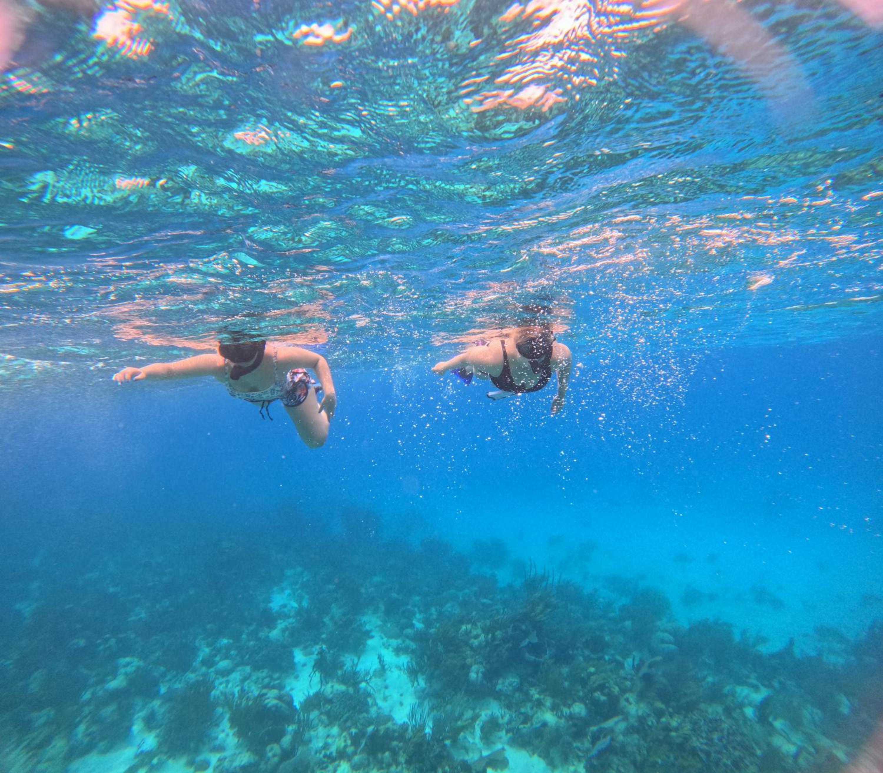 Caribbean Shores Belize