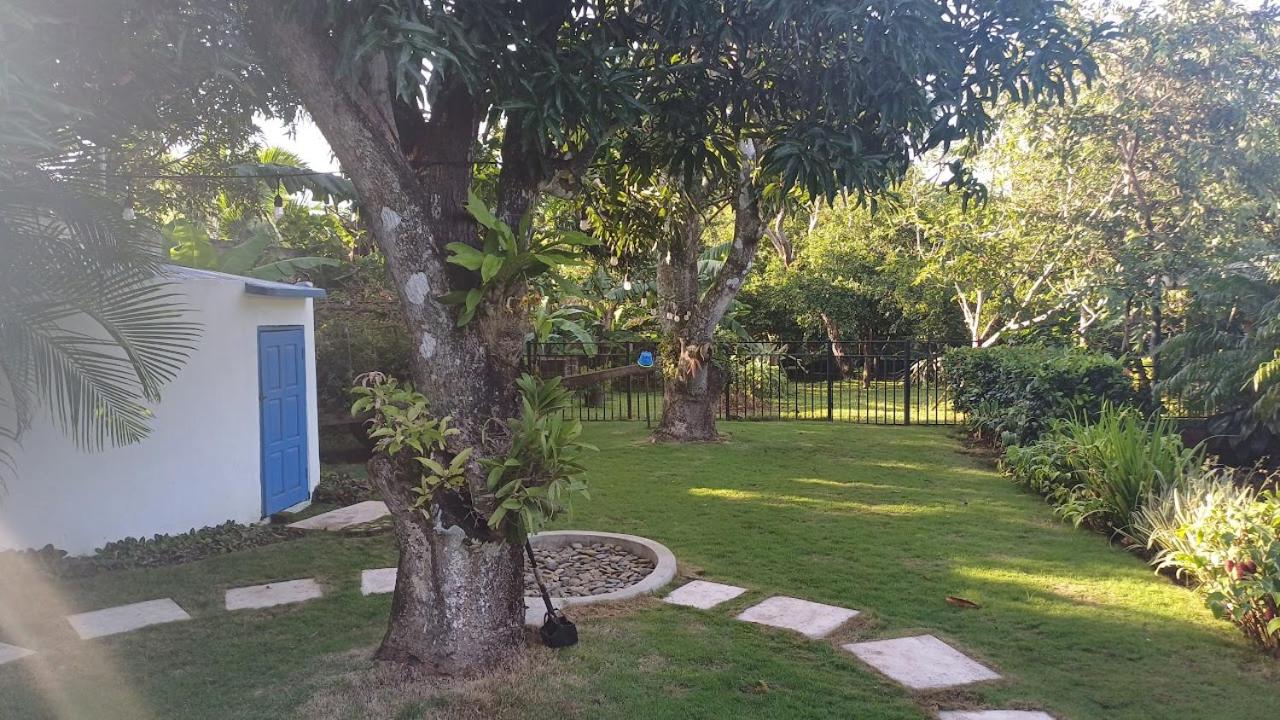 Photo 33