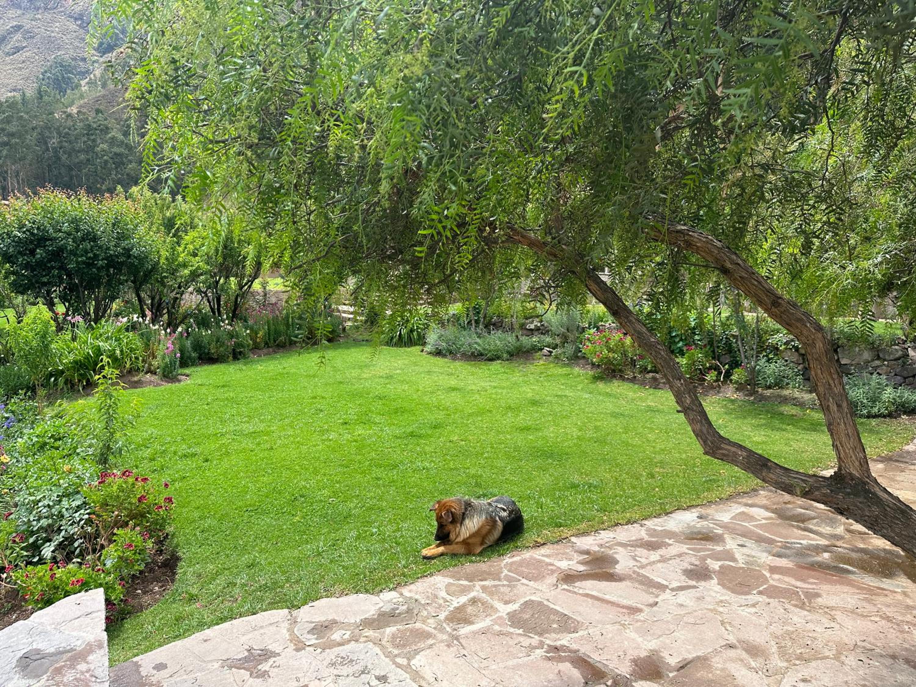Photo 8