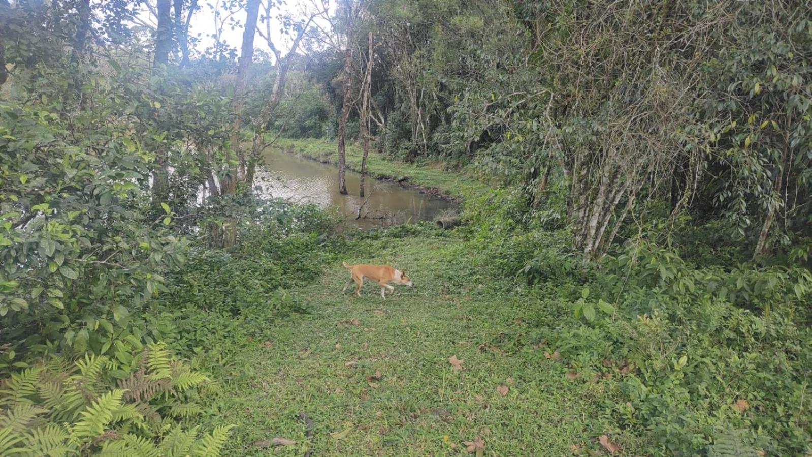 Recanto da Paz