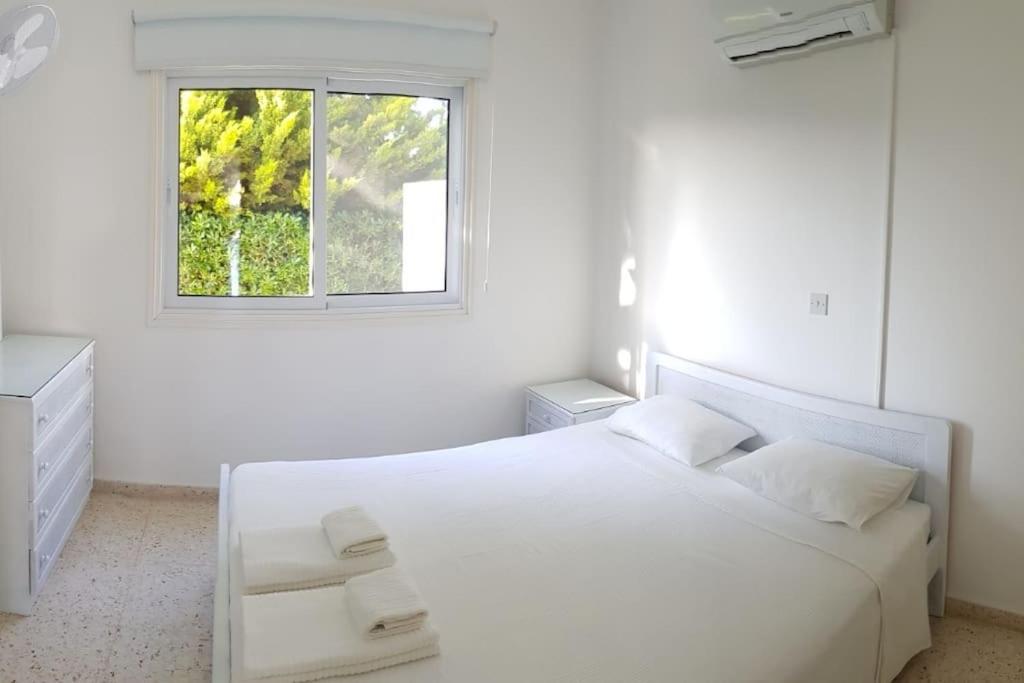 Ayia Napa - Ayia Thekla Sea View Beach Villa