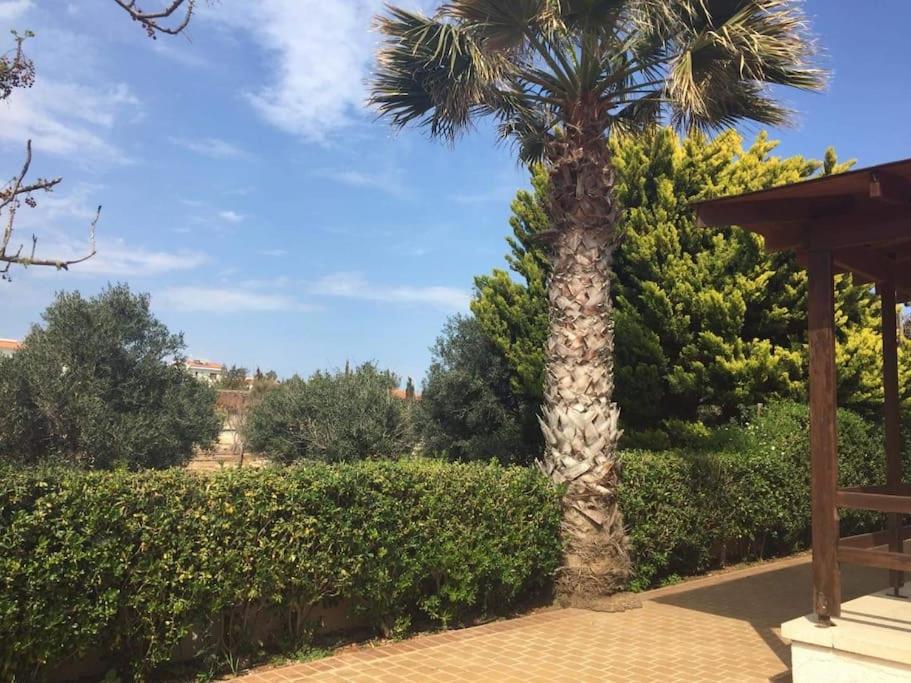 Ayia Napa - Ayia Thekla Sea View Beach Villa