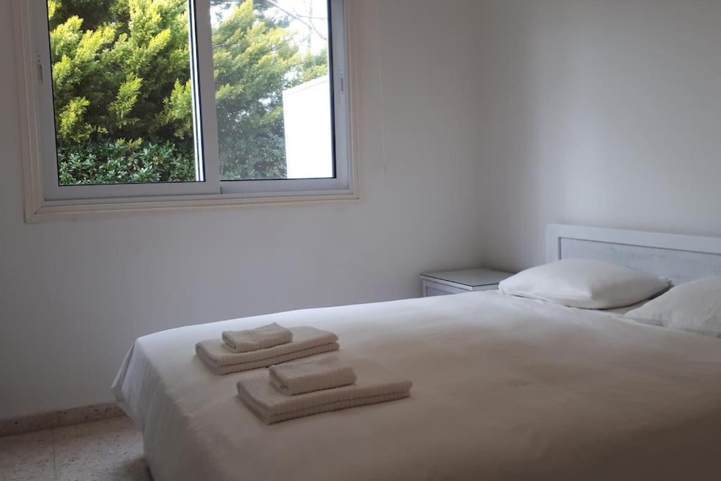 Ayia Napa - Ayia Thekla Sea View Beach Villa