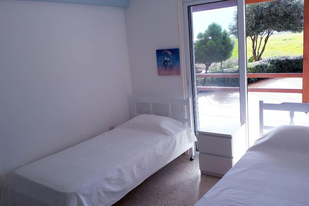 Ayia Napa - Ayia Thekla Sea View Beach Villa