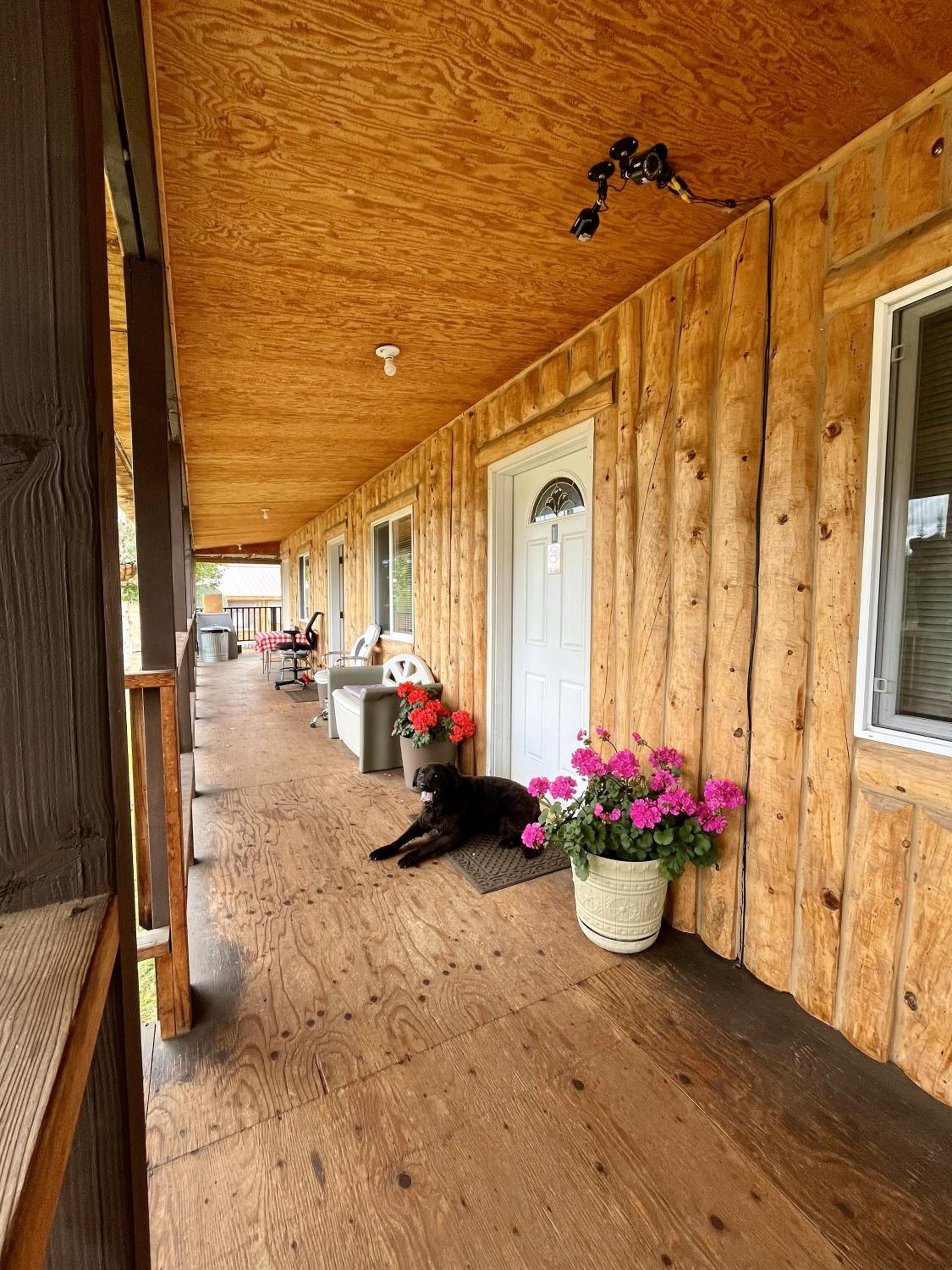 Nelchina Lodge