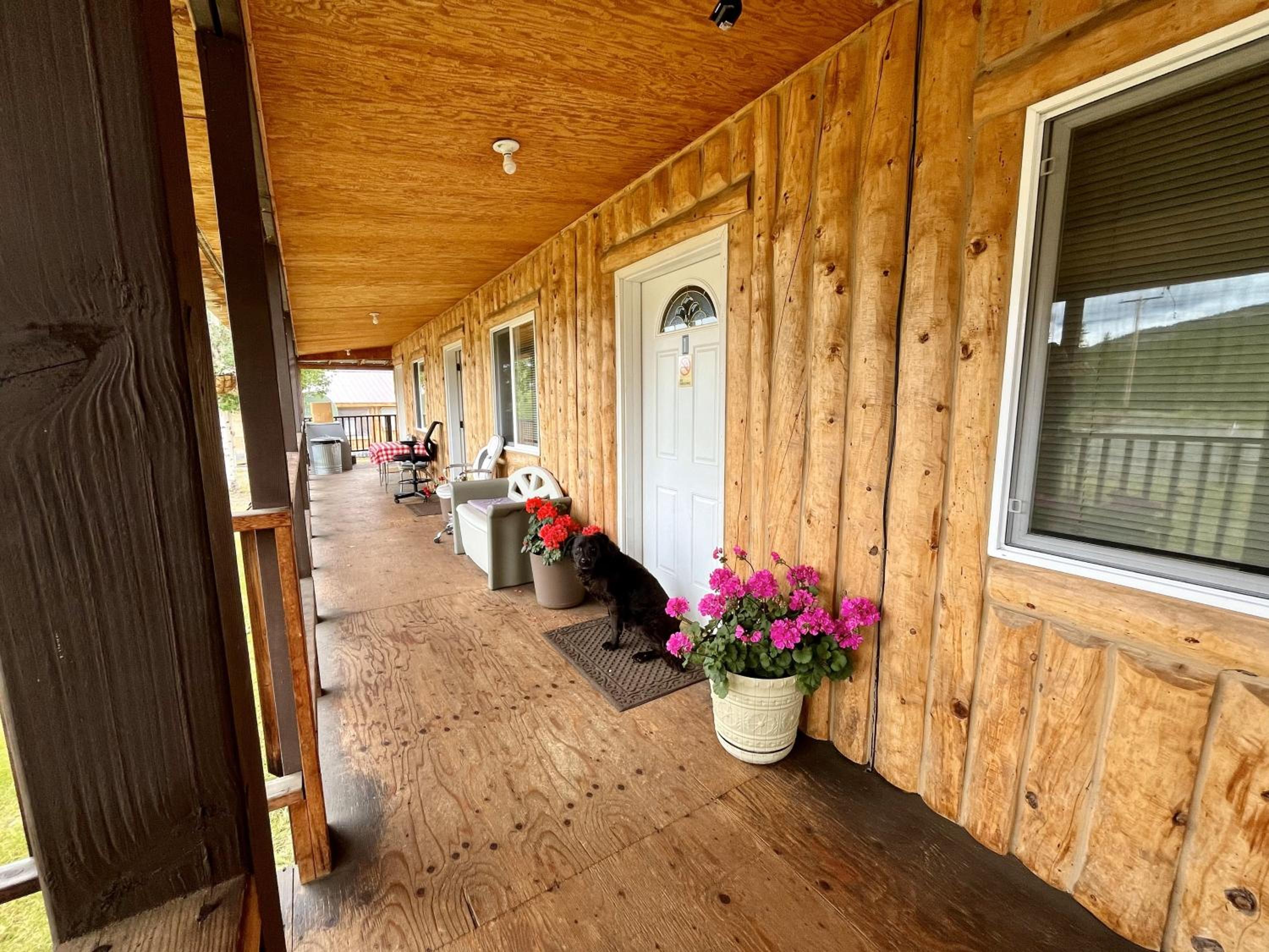 Nelchina Lodge