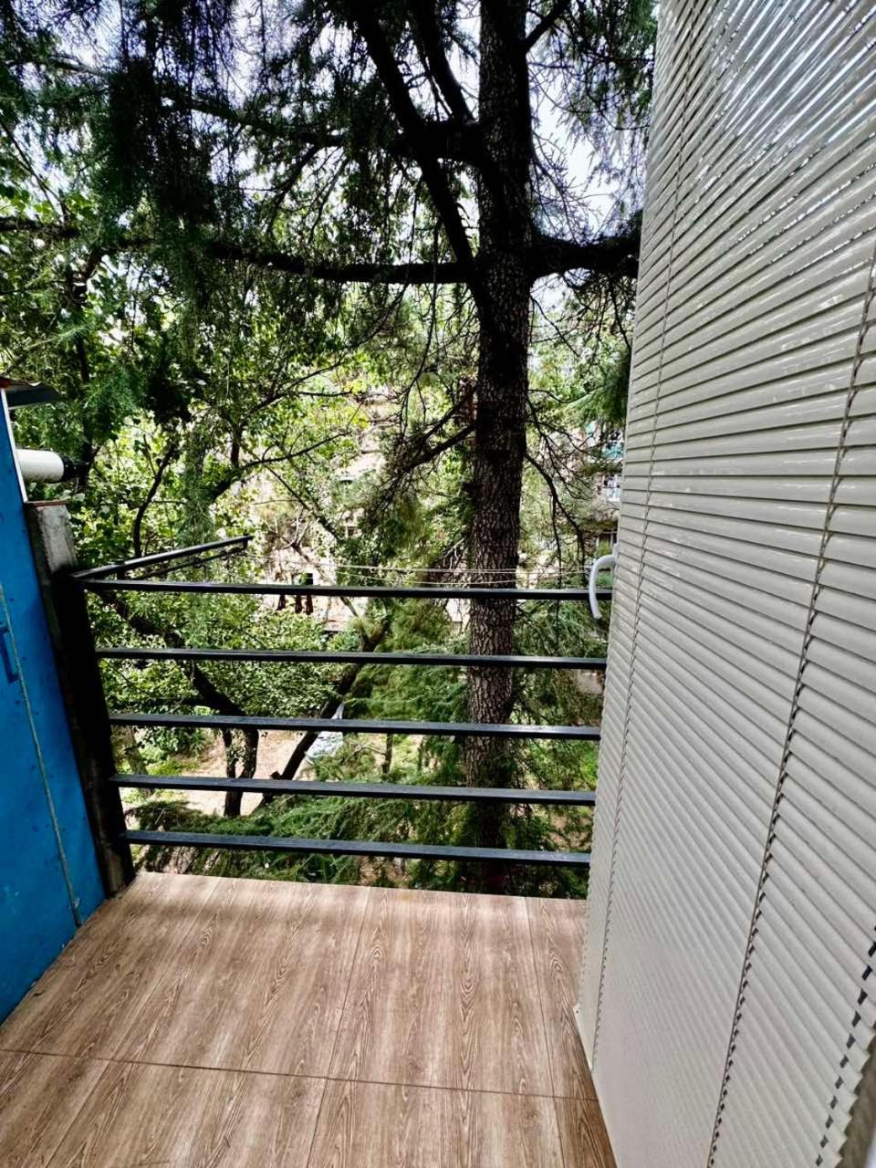Kavtaradze Street Apartment view 4