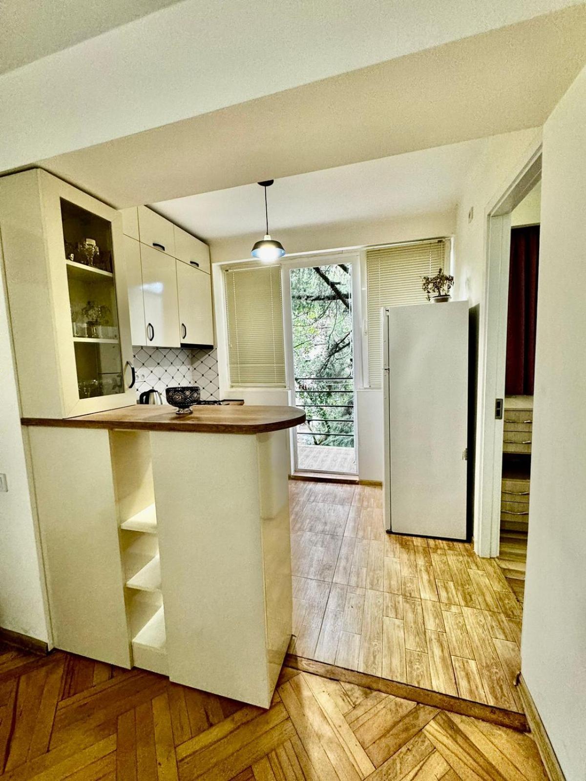 Kavtaradze Street Apartment view 5