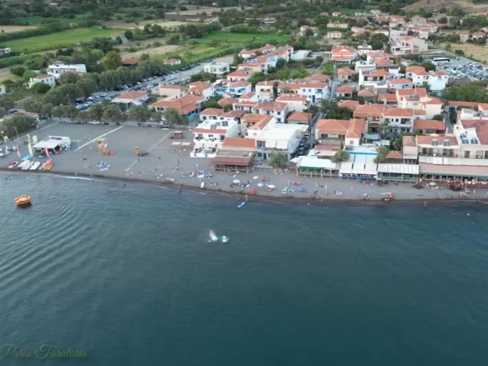 Marilena