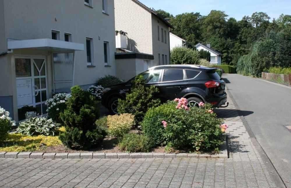 Ferienhaus Elchschaufel