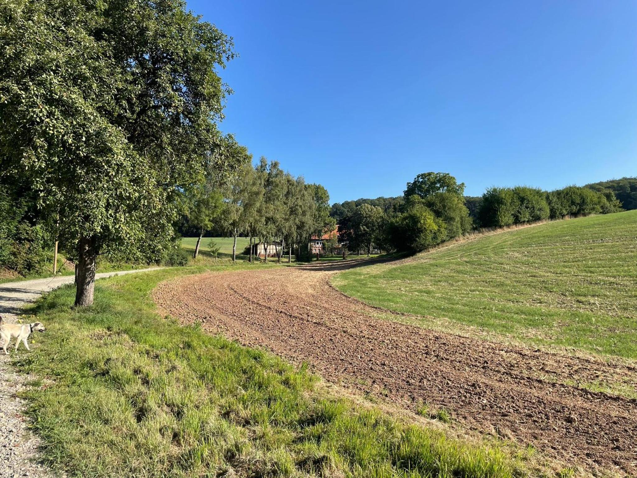 Ferienwohnung Gut Urlettig