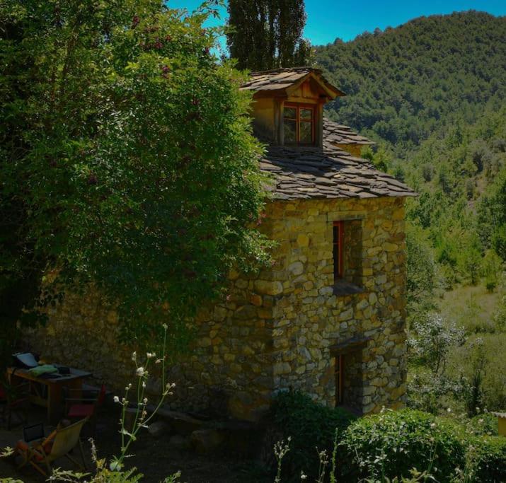 Molí del Plomall