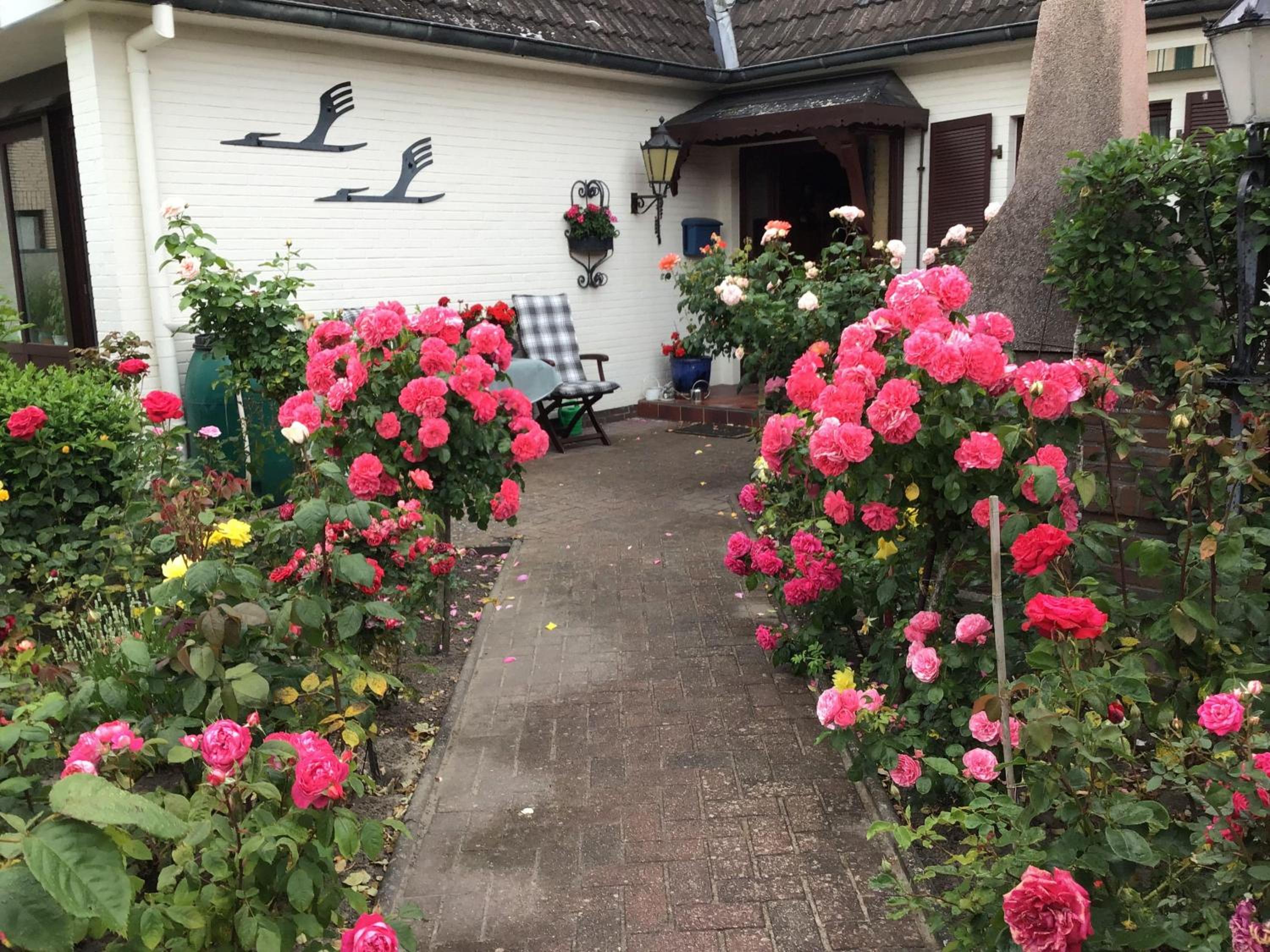 Haus-Ilse-Marie-Wohnung-Backbord