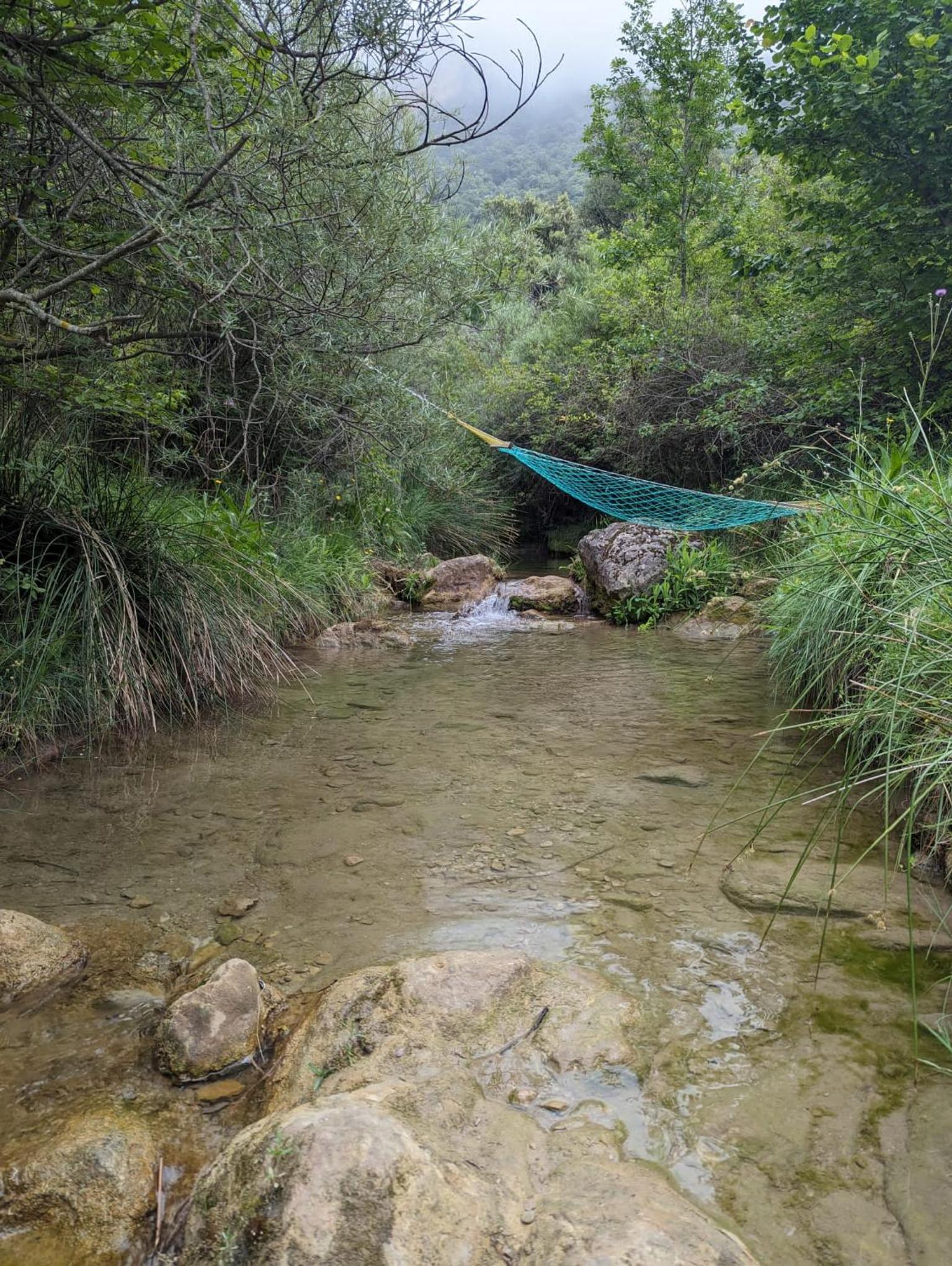 Molí del Plomall