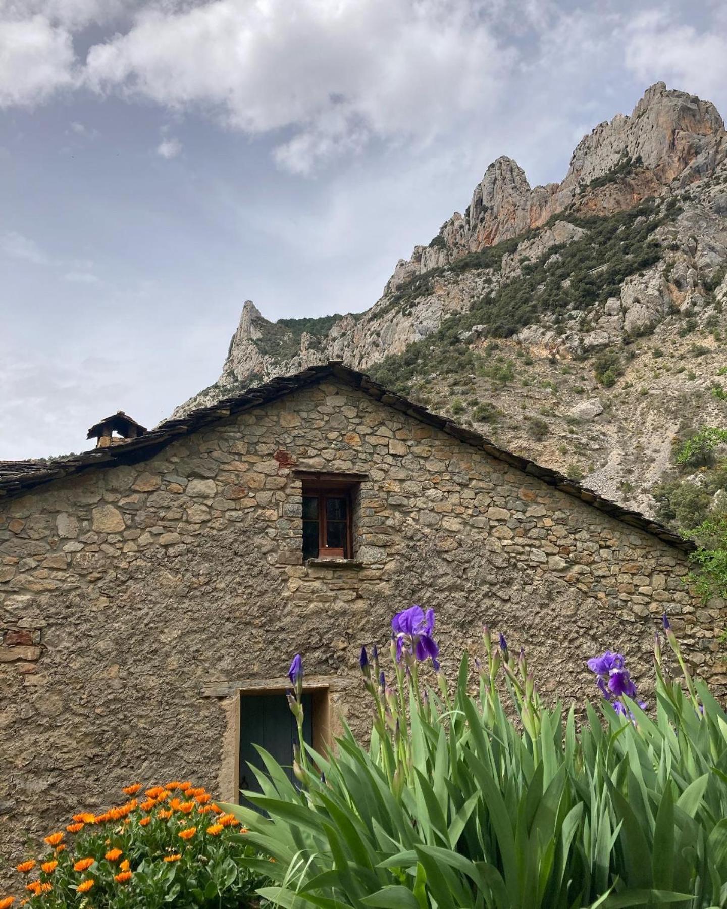 Molí del Plomall
