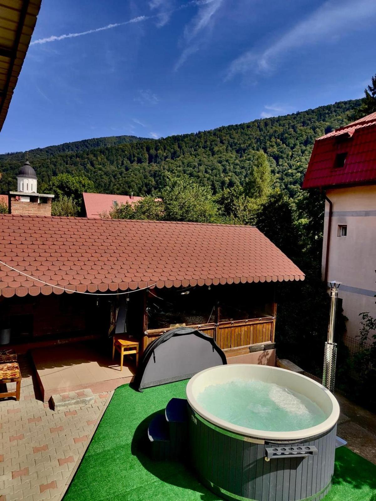 Alpine Bliss Sinaia view 5