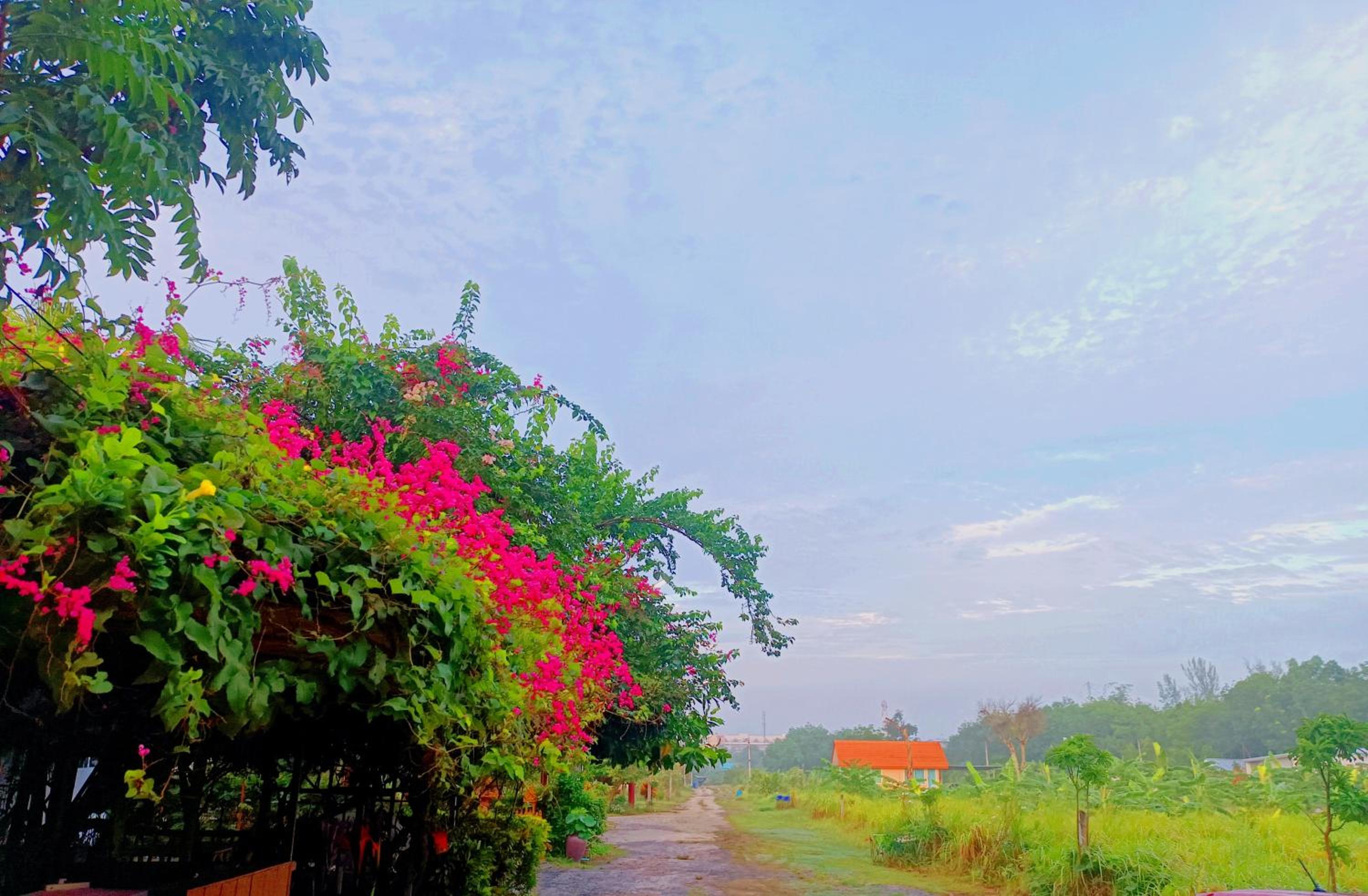 OASIS Phuket Airport