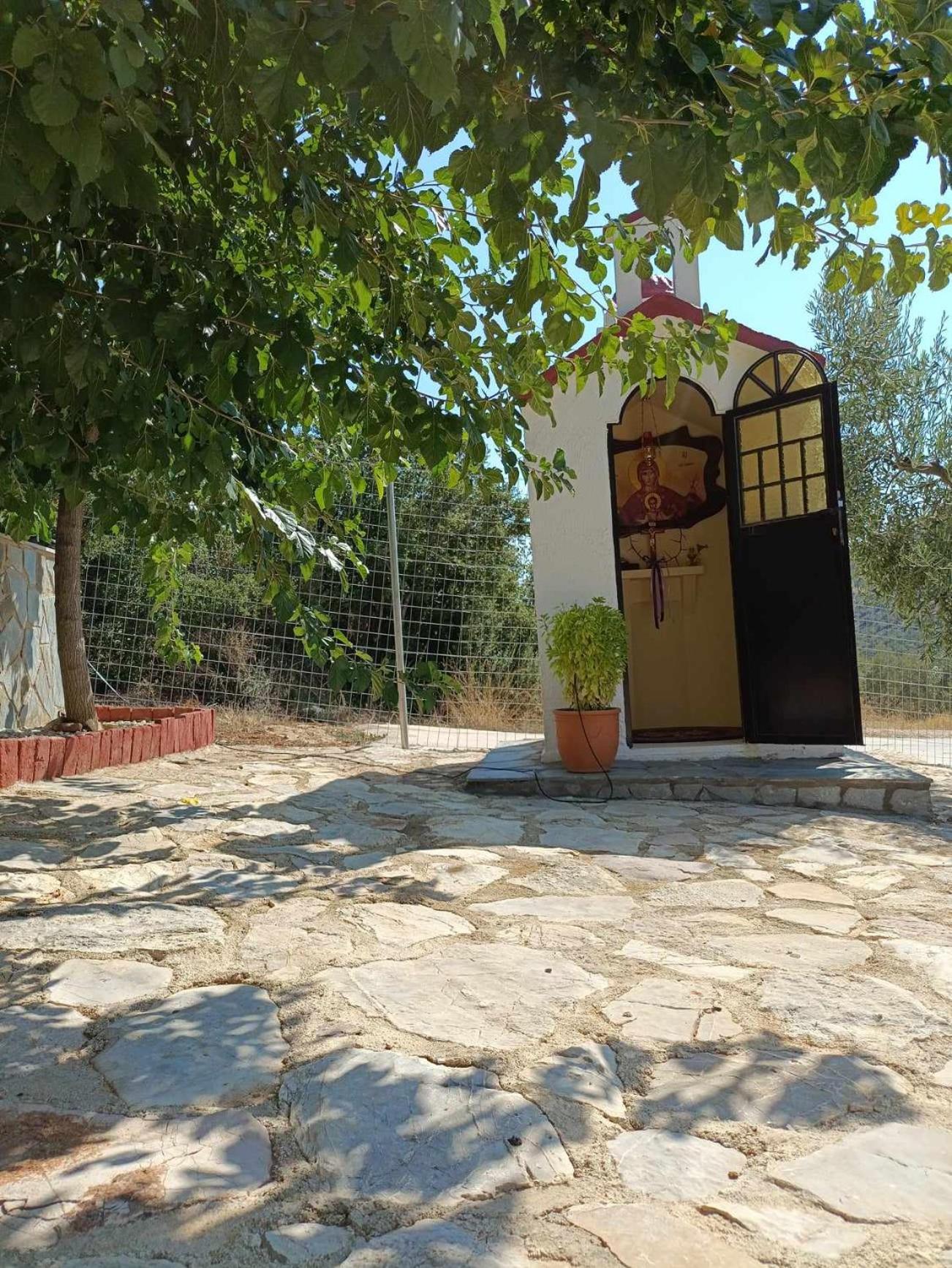 Photo 31
