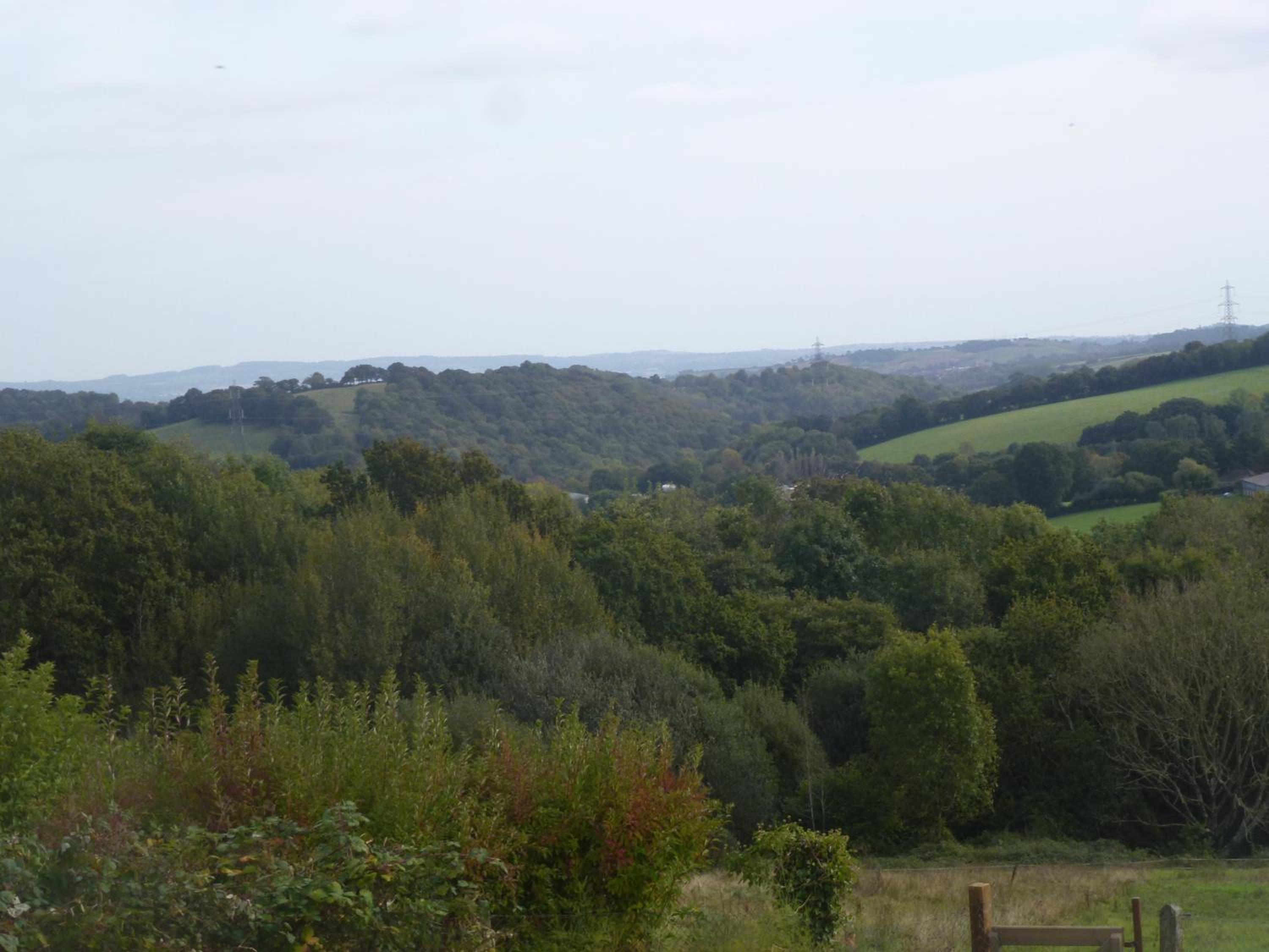 Photo 22