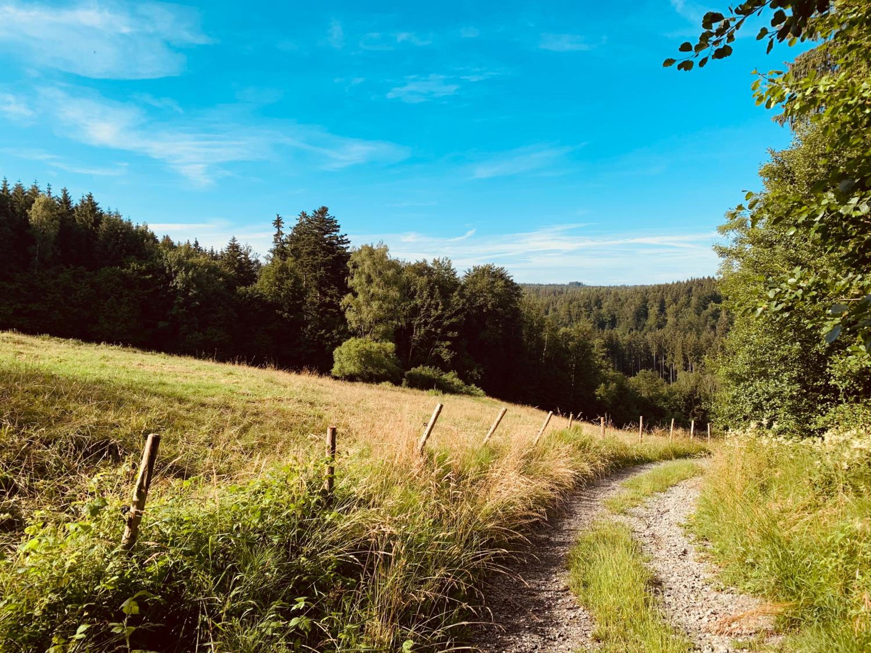 HJEM - Tiny Homes direkt am Wald zwischen Allgäu & Bodensee