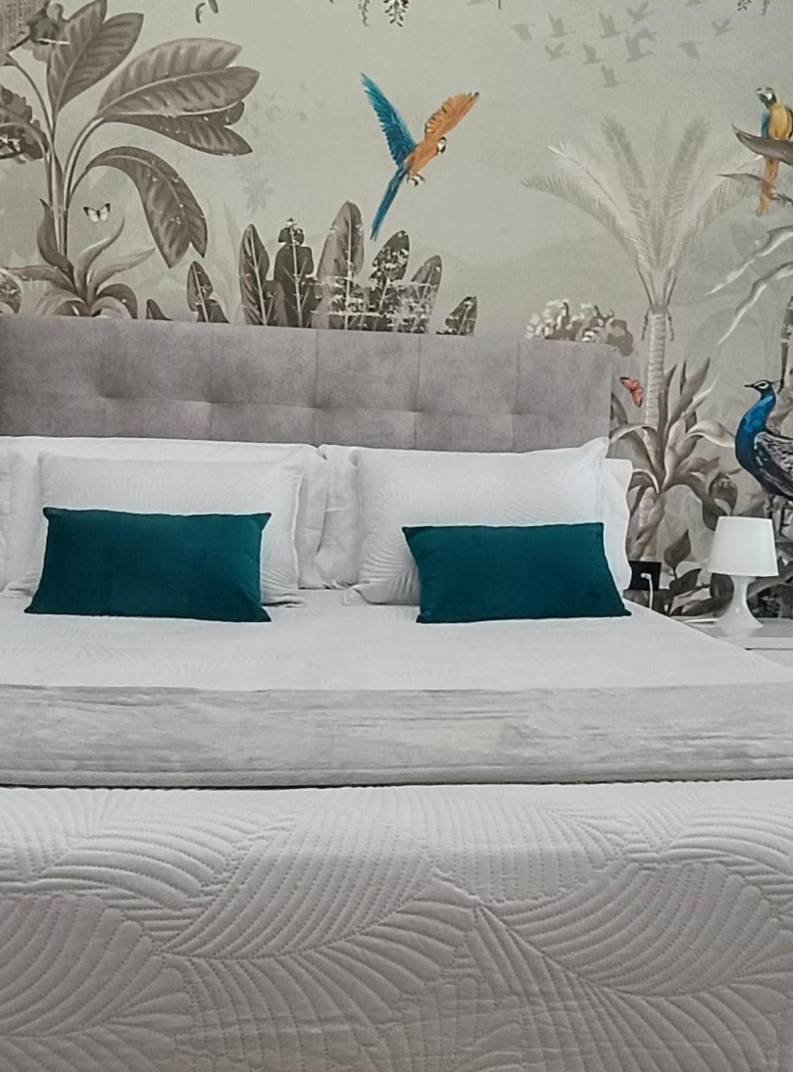 Apartamento Centro Ancha de Gracia photo 2