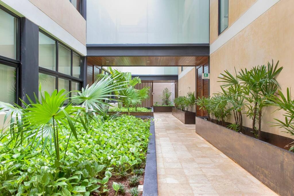 Kuxtal Spacious 1Bd 3min walk to the beach view 2