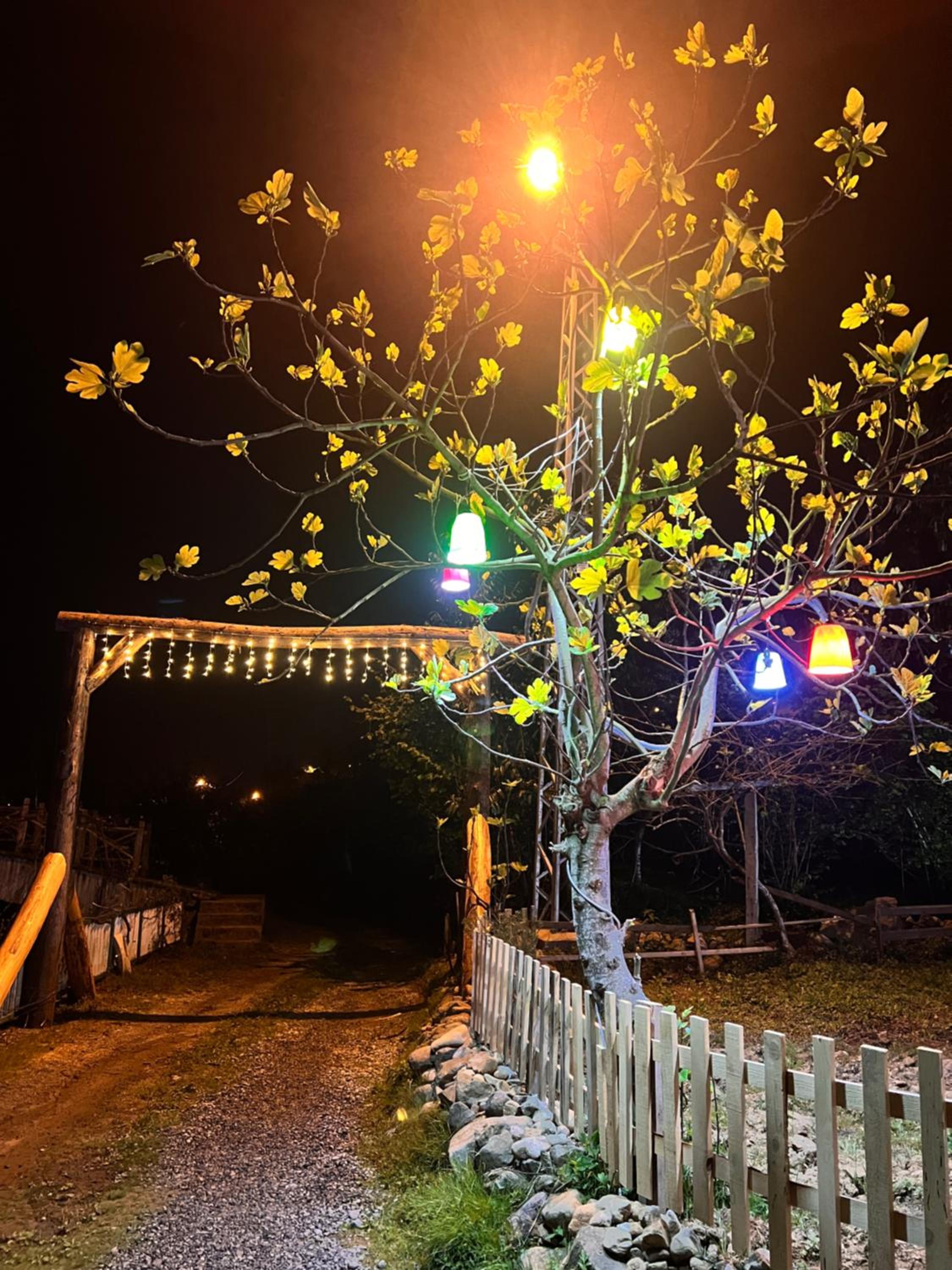 Rize Atina Bungalows