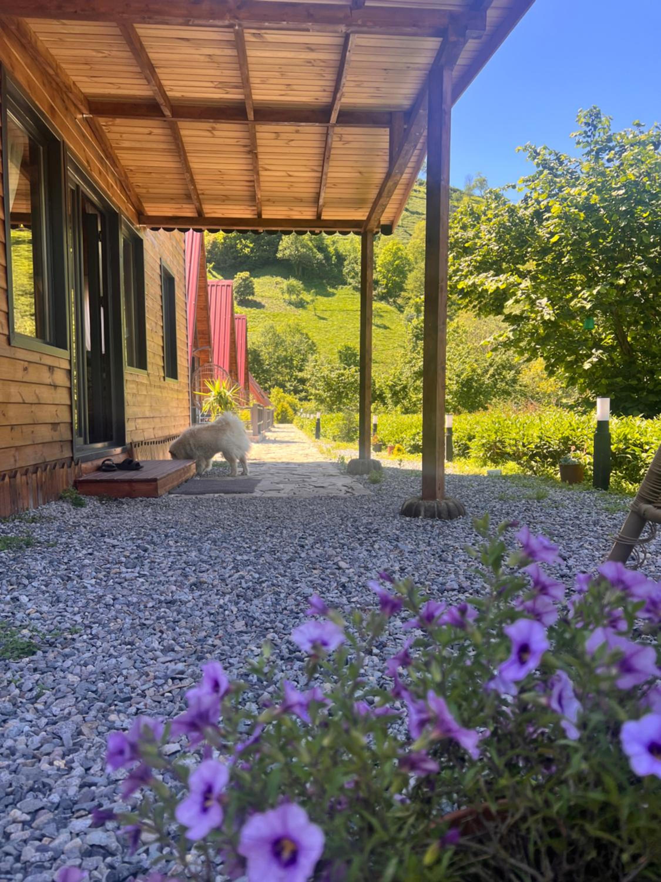 Rize Atina Bungalows