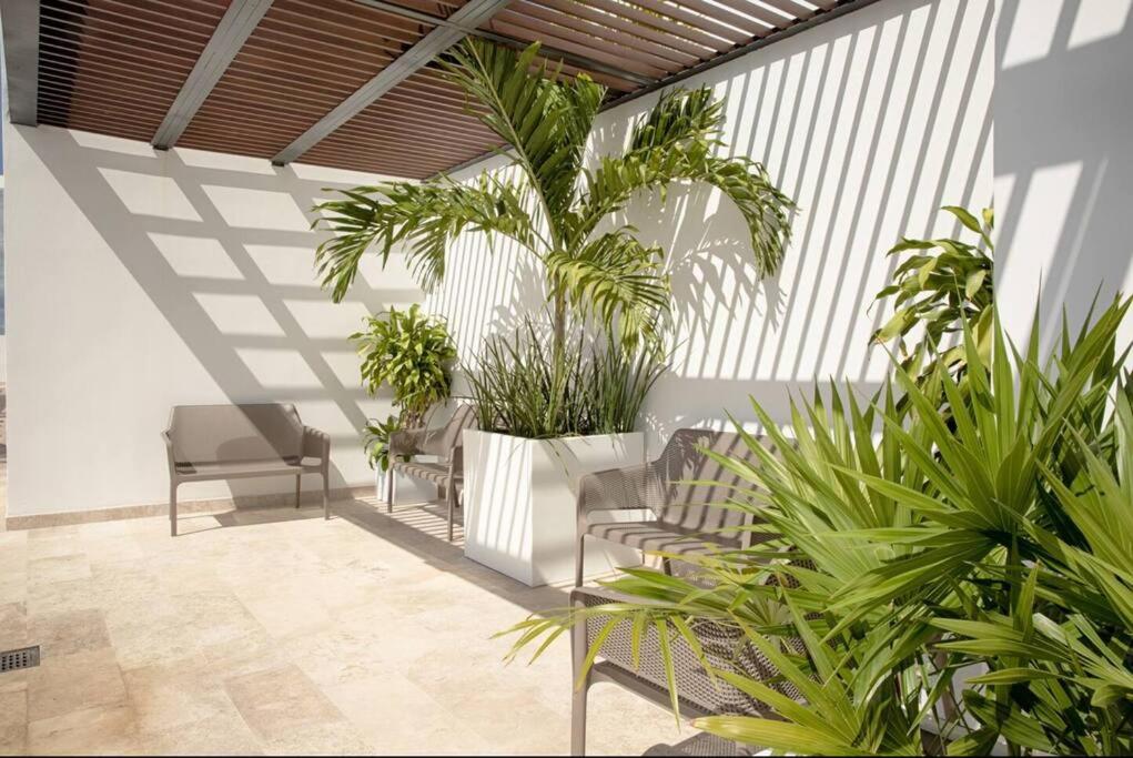 Ipana 516A Premium 1bdr 3 min walk to the beach view 5