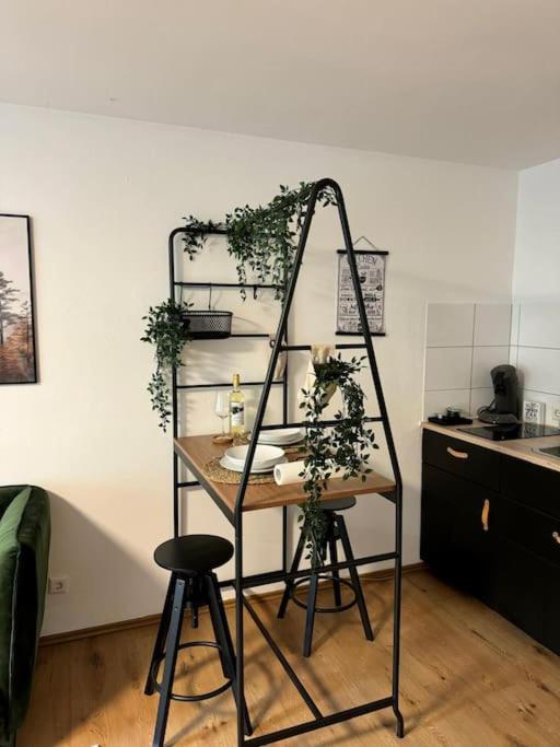 Black Forest Apartment