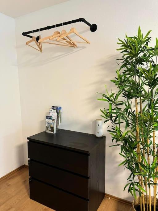 Black Forest Apartment