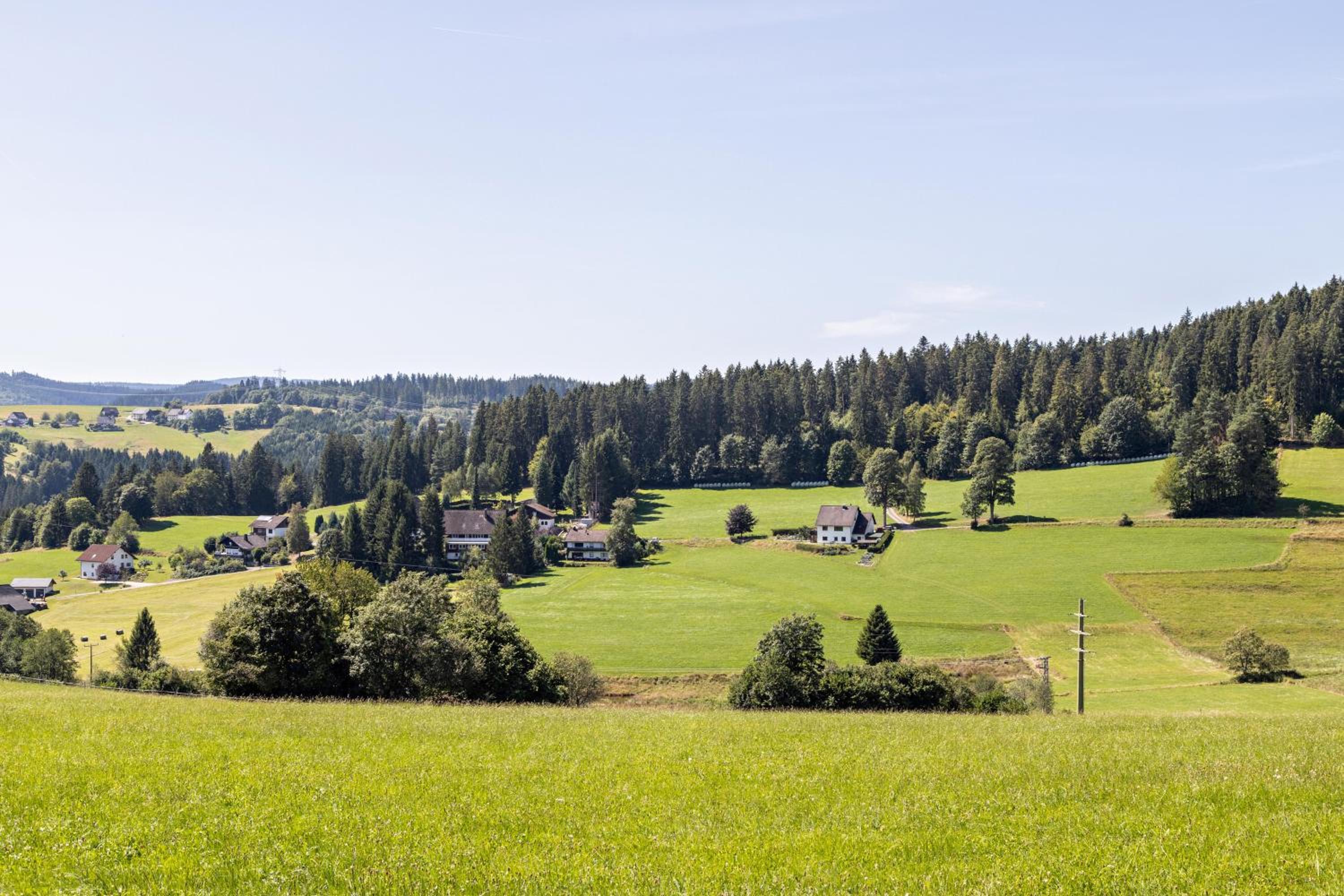 Ferienwohnung Schwarzwaldglück