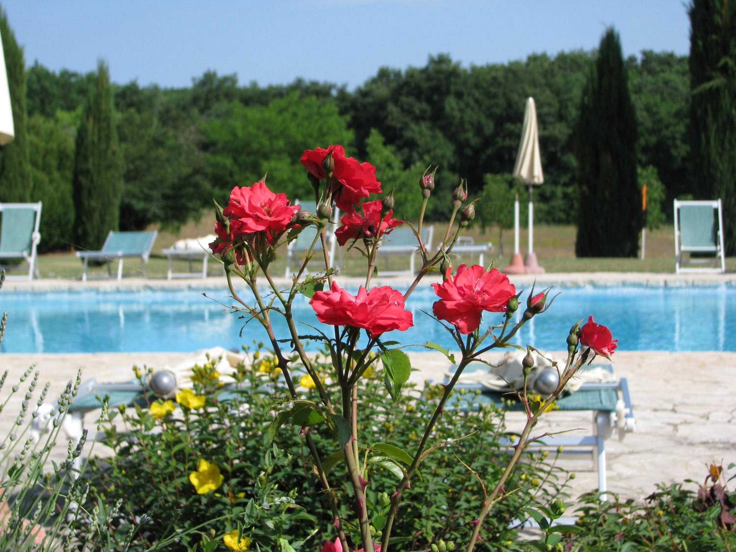 Fattoria Agriturismo Nerbona