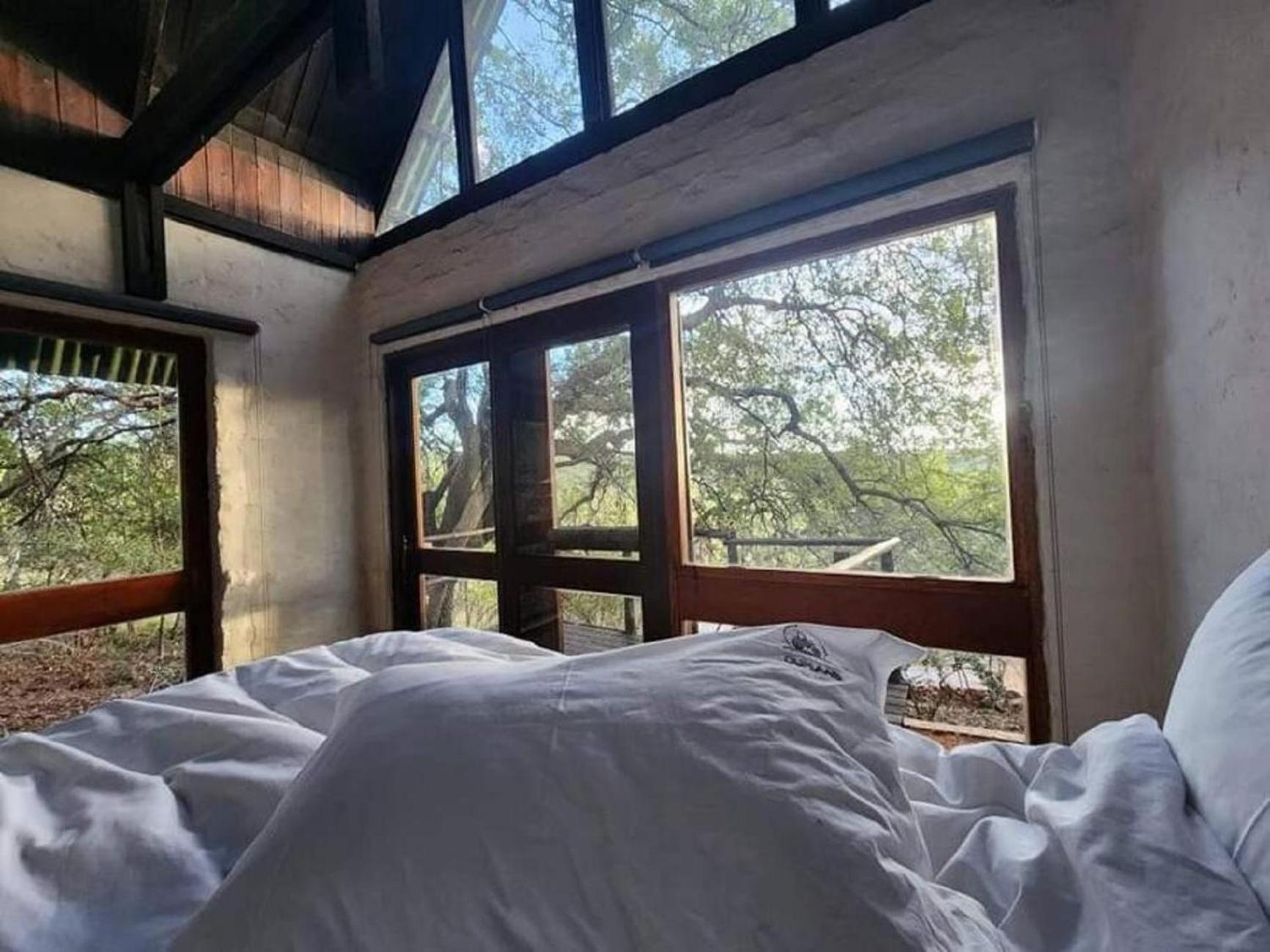 Boomhuis, Mabalingwe Nature Reserve view 5