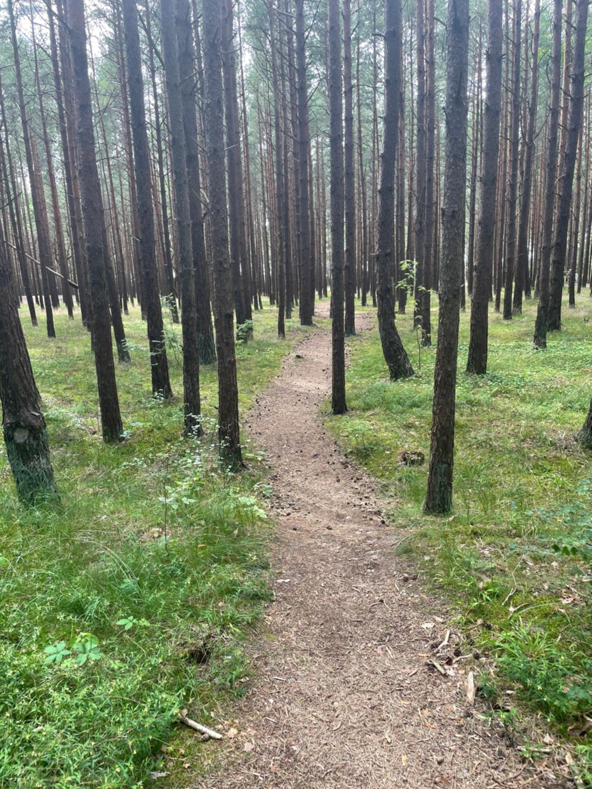 Kopų nameliai view 4