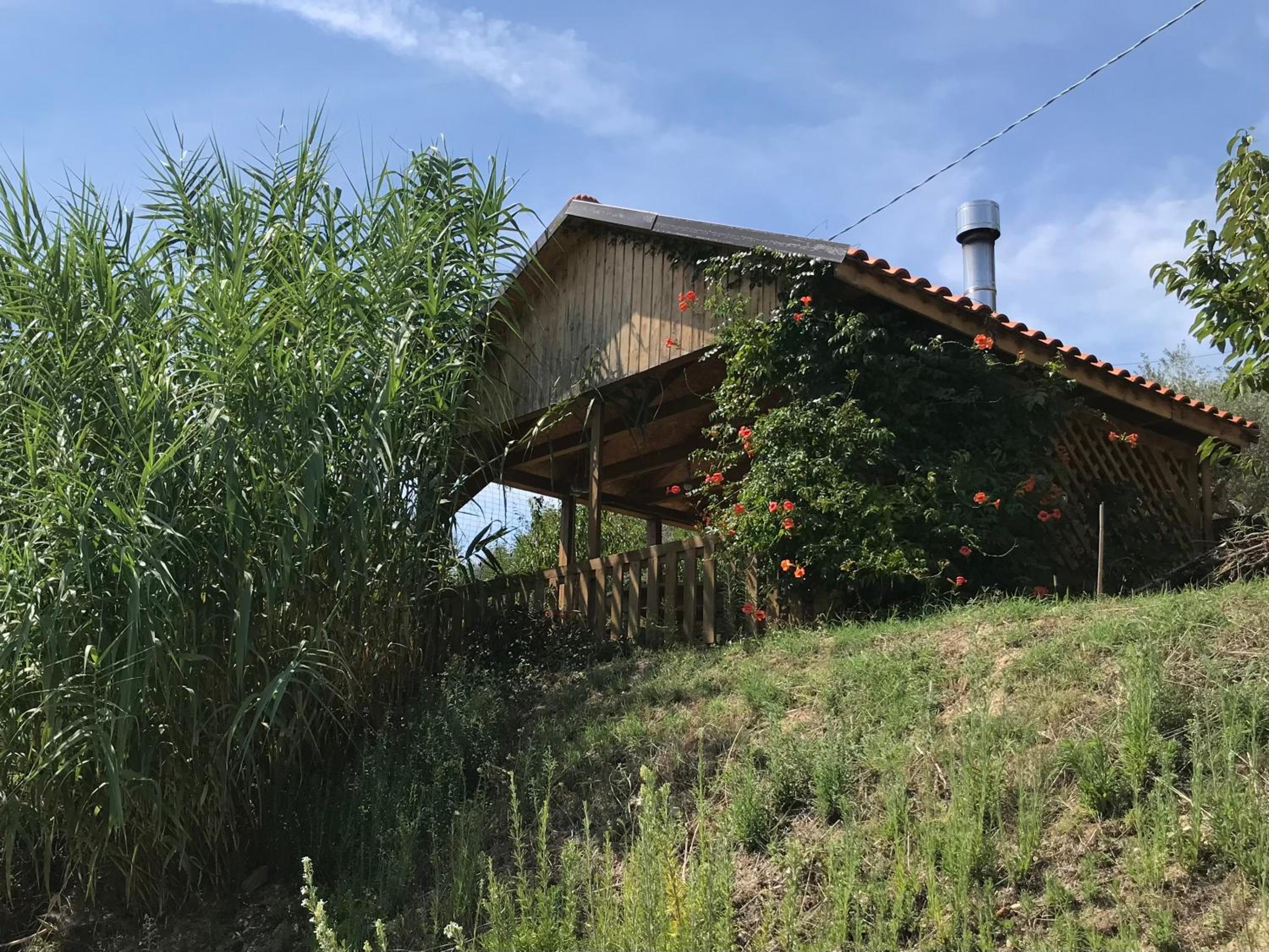 Casa Vesta