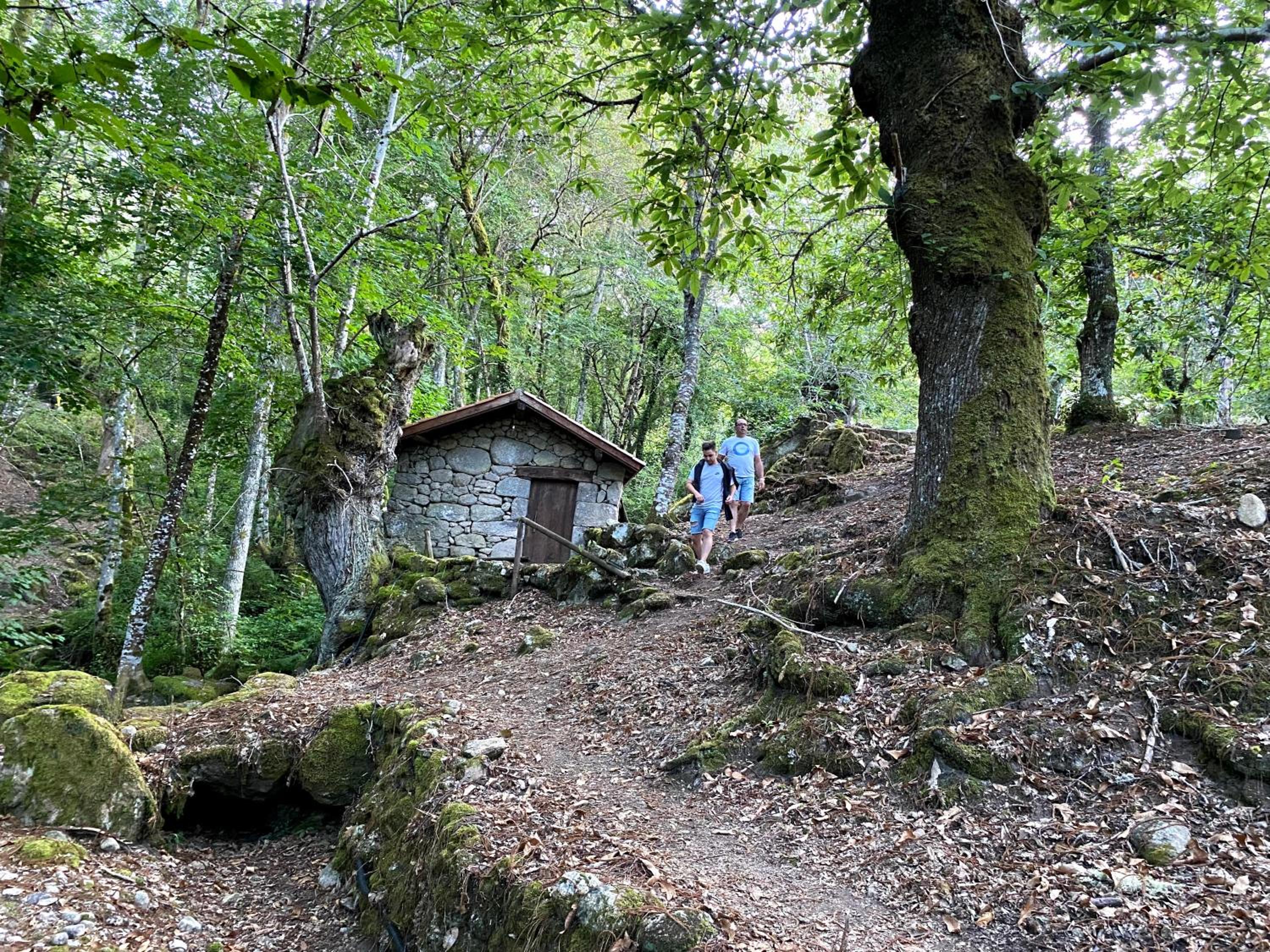 Casa Quintas dos Mouros