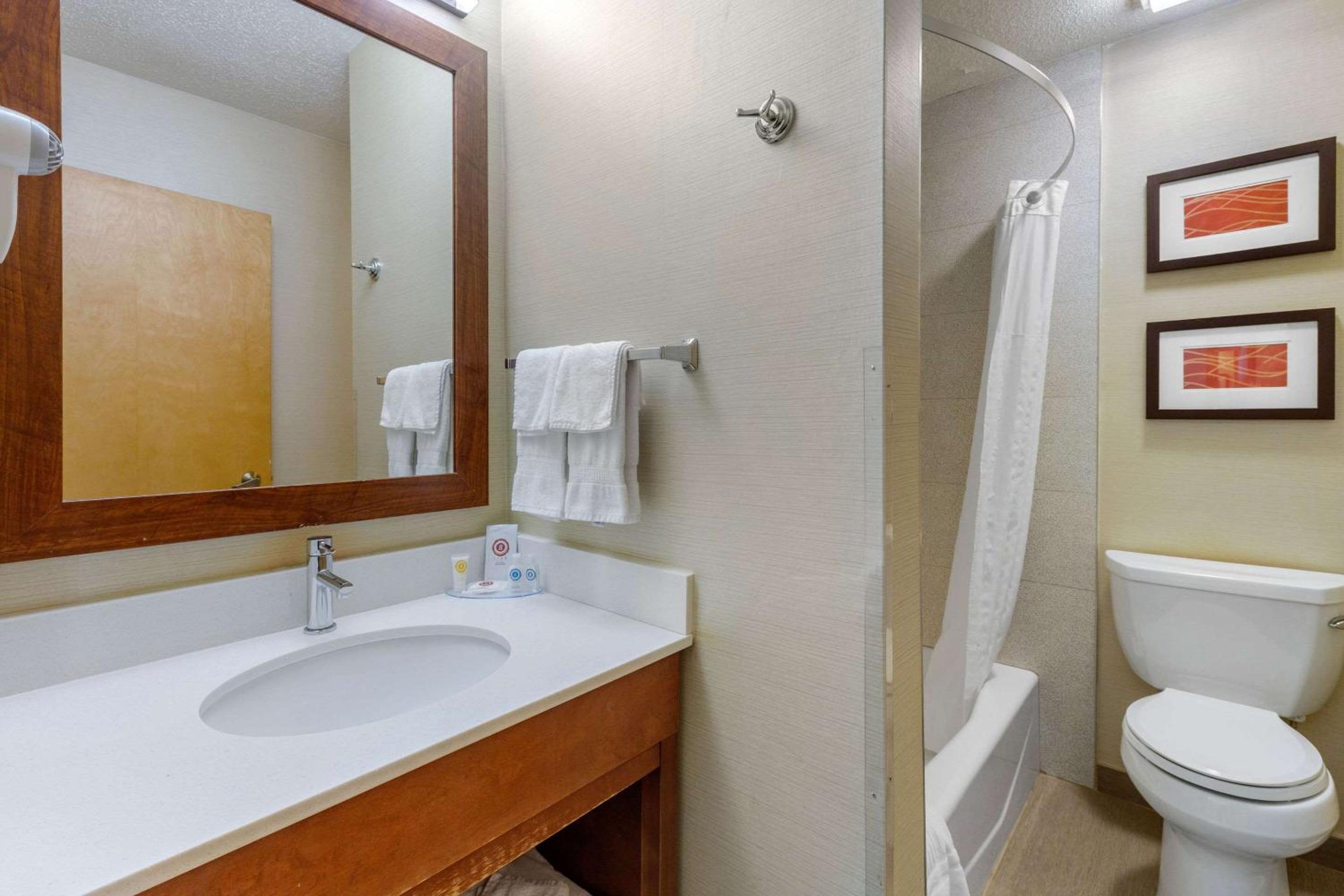 Rutland Vacations - Comfort Inn Rutland - Killington - Property Image 43