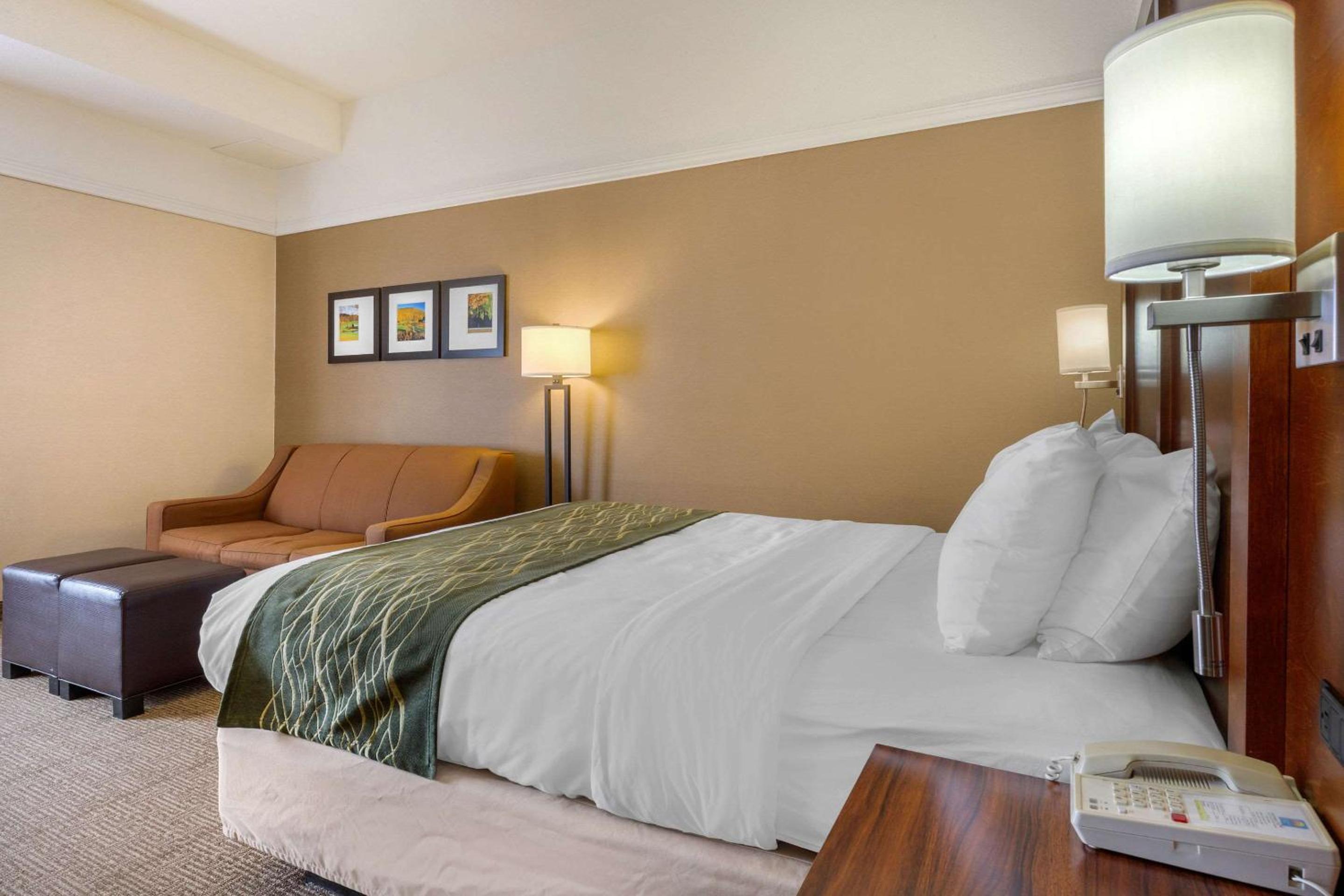 Rutland Vacations - Comfort Inn Rutland - Killington - Property Image 50