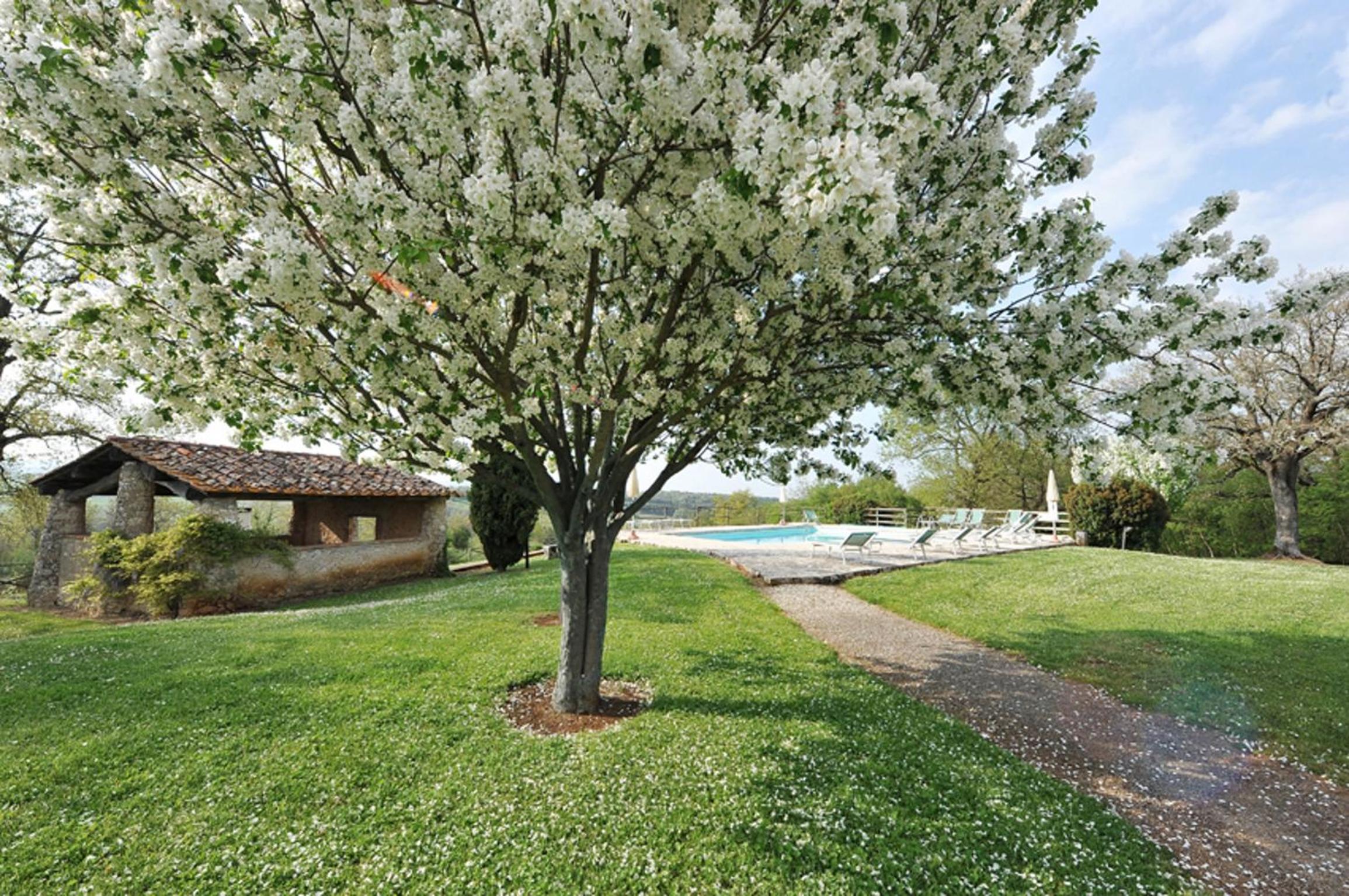 Fattoria Agriturismo Nerbona