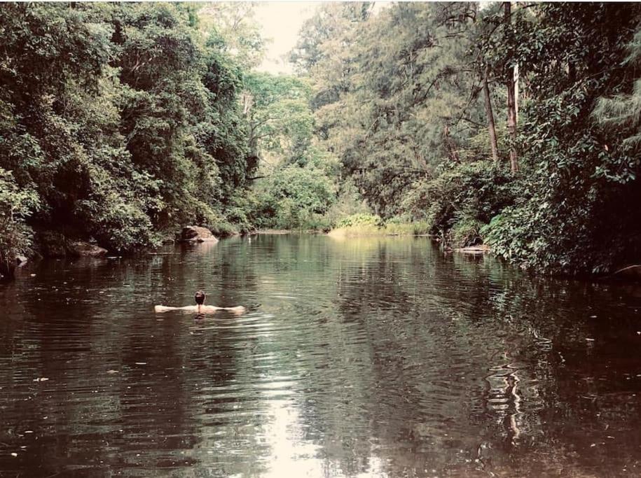 The Forest River Wood Cabin