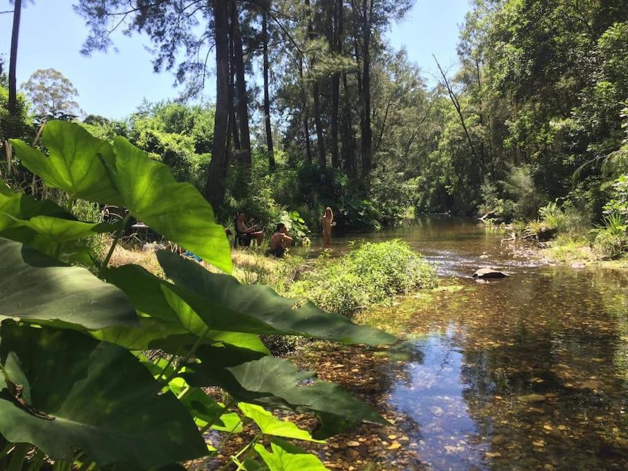 The Forest River Wood Cabin