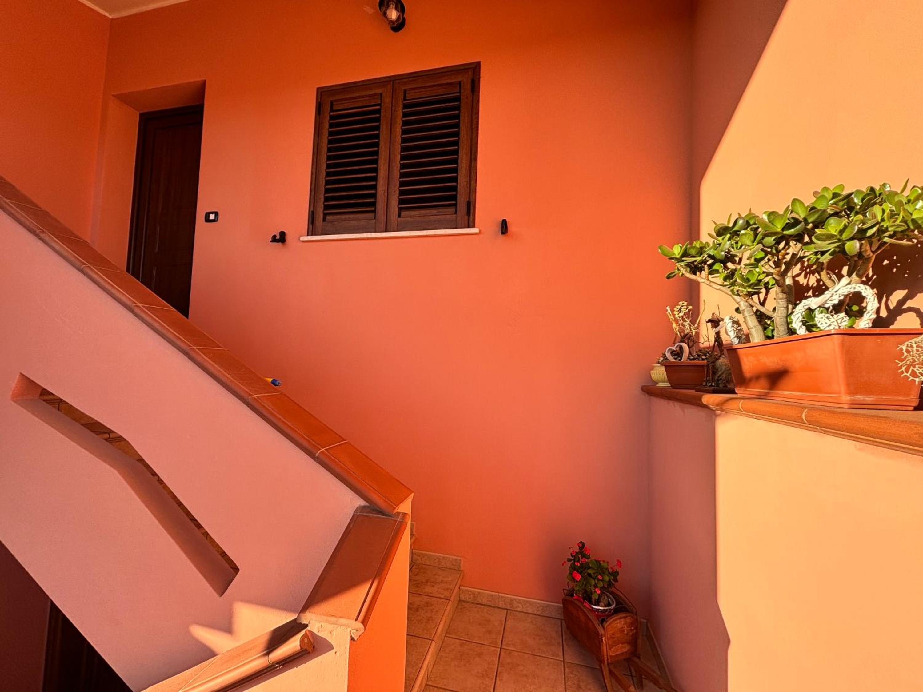 La casa di Marti photo 2