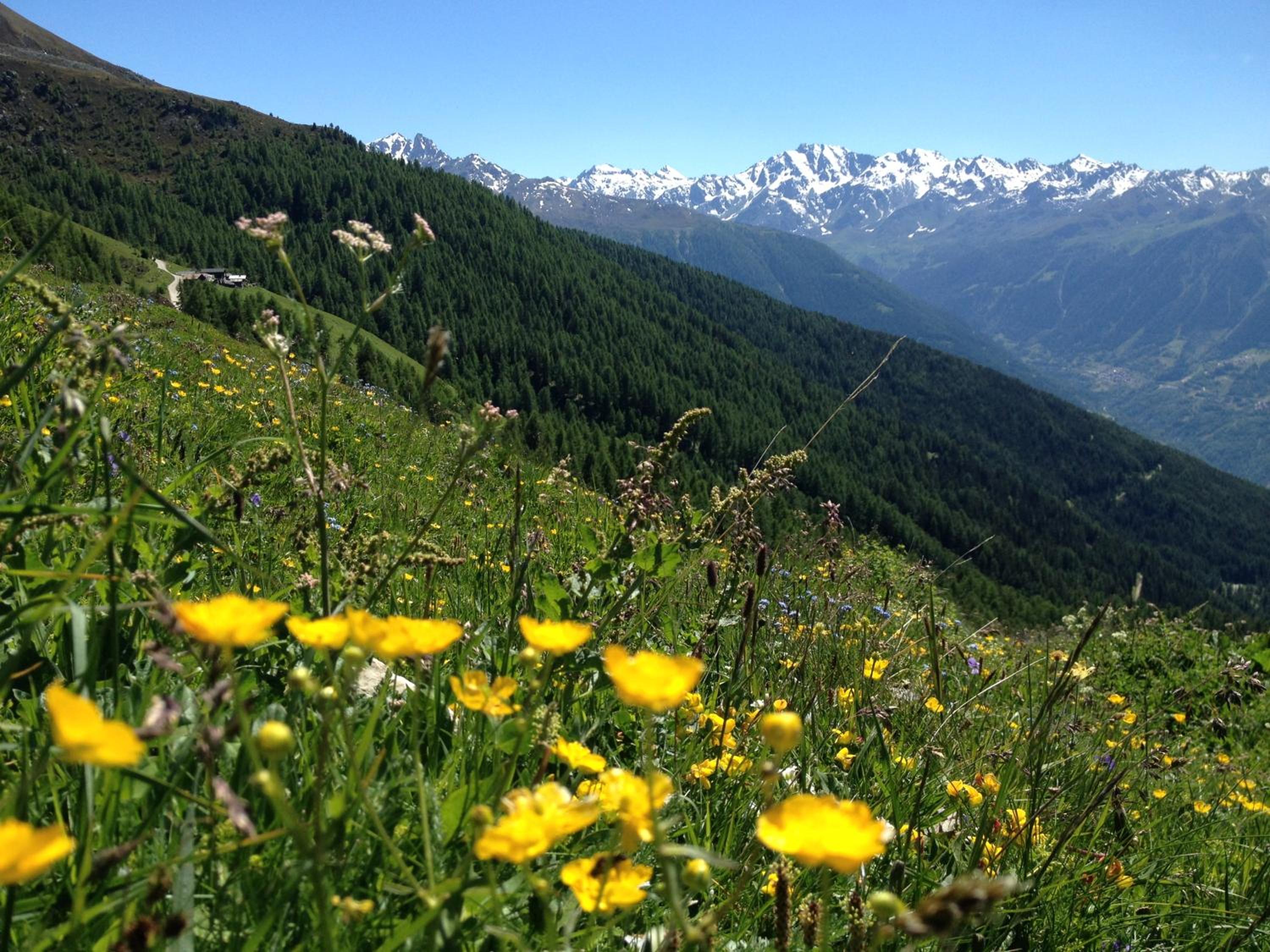 Chalet Lana in sonniger, ruhiger Lage